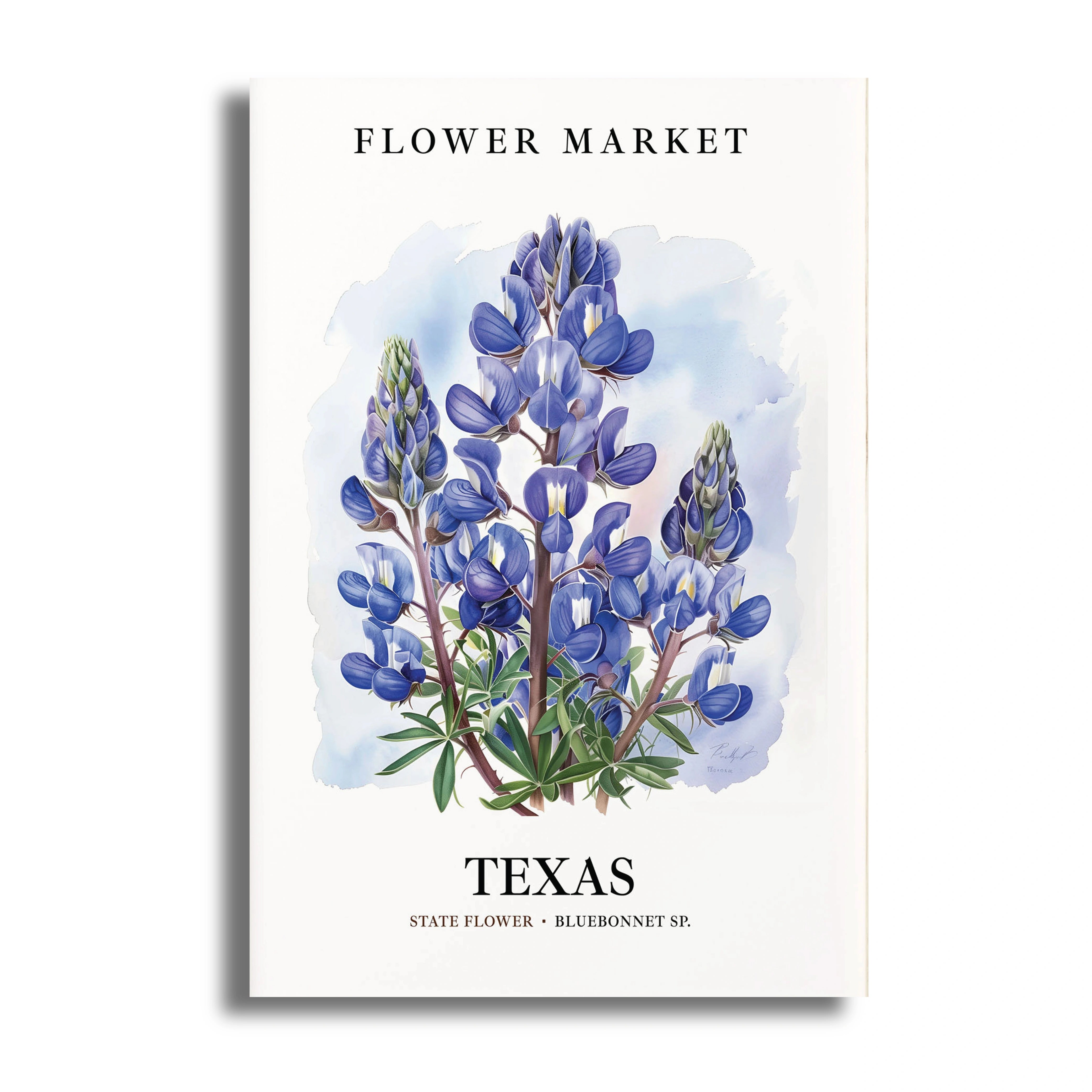 FLOWER POSTER (24)