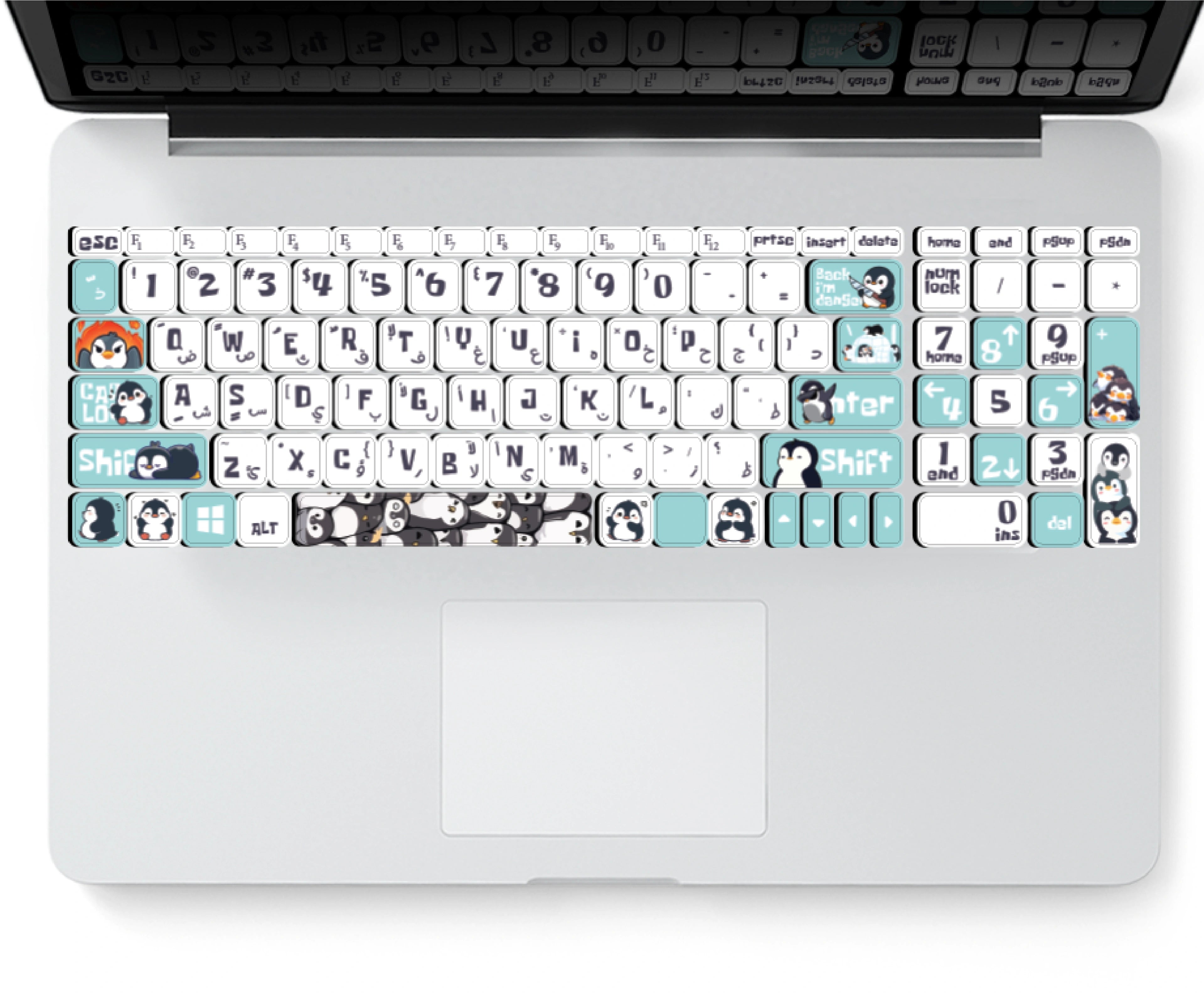 PENGUINS: KEYBOARD STICKERS