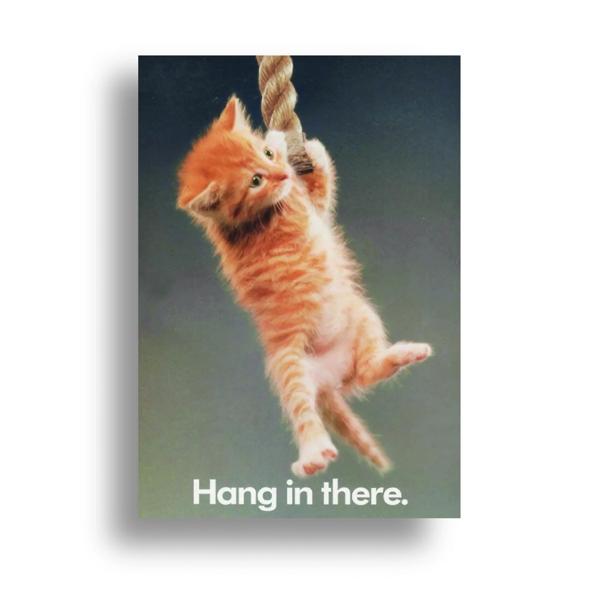 350gsm paper print