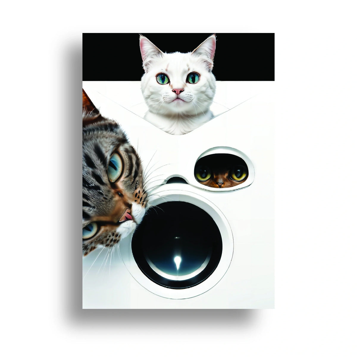 350gsm paper print