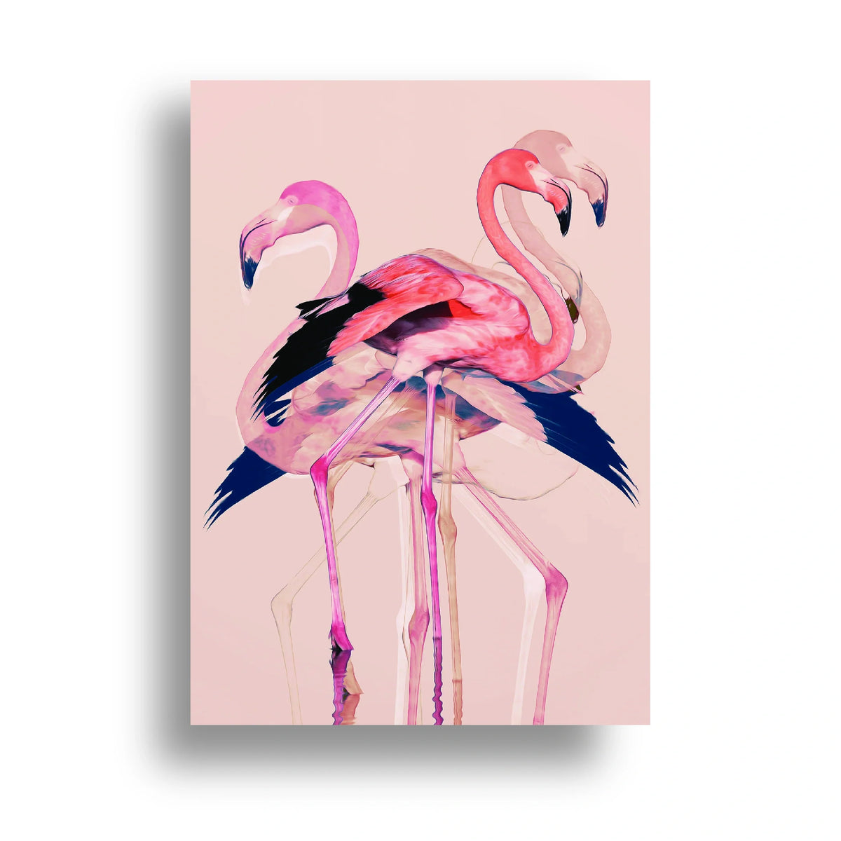 350gsm paper print