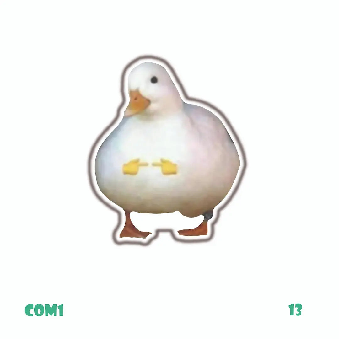 DUCK