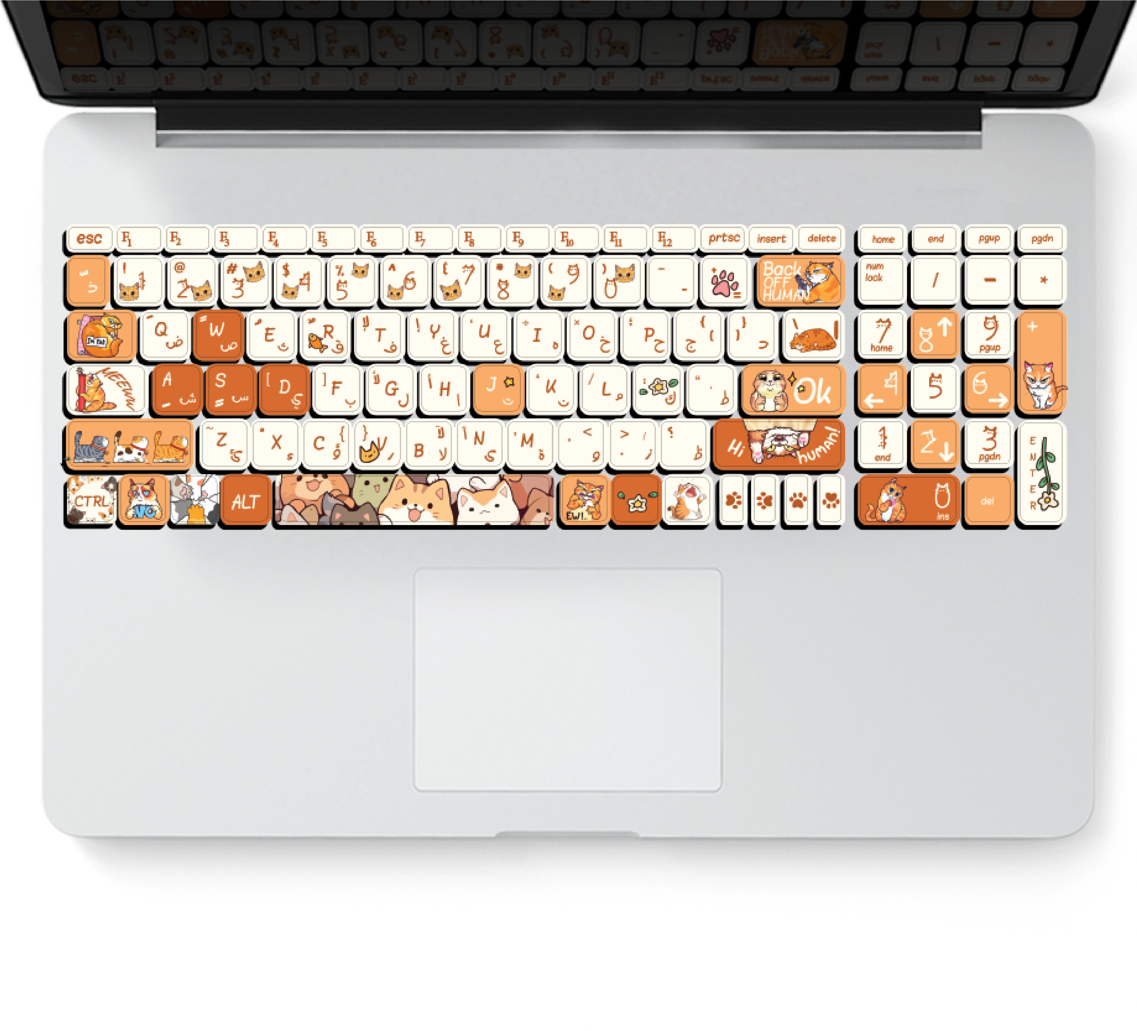 CAT LOVERS: KEYBOARD STICKERS