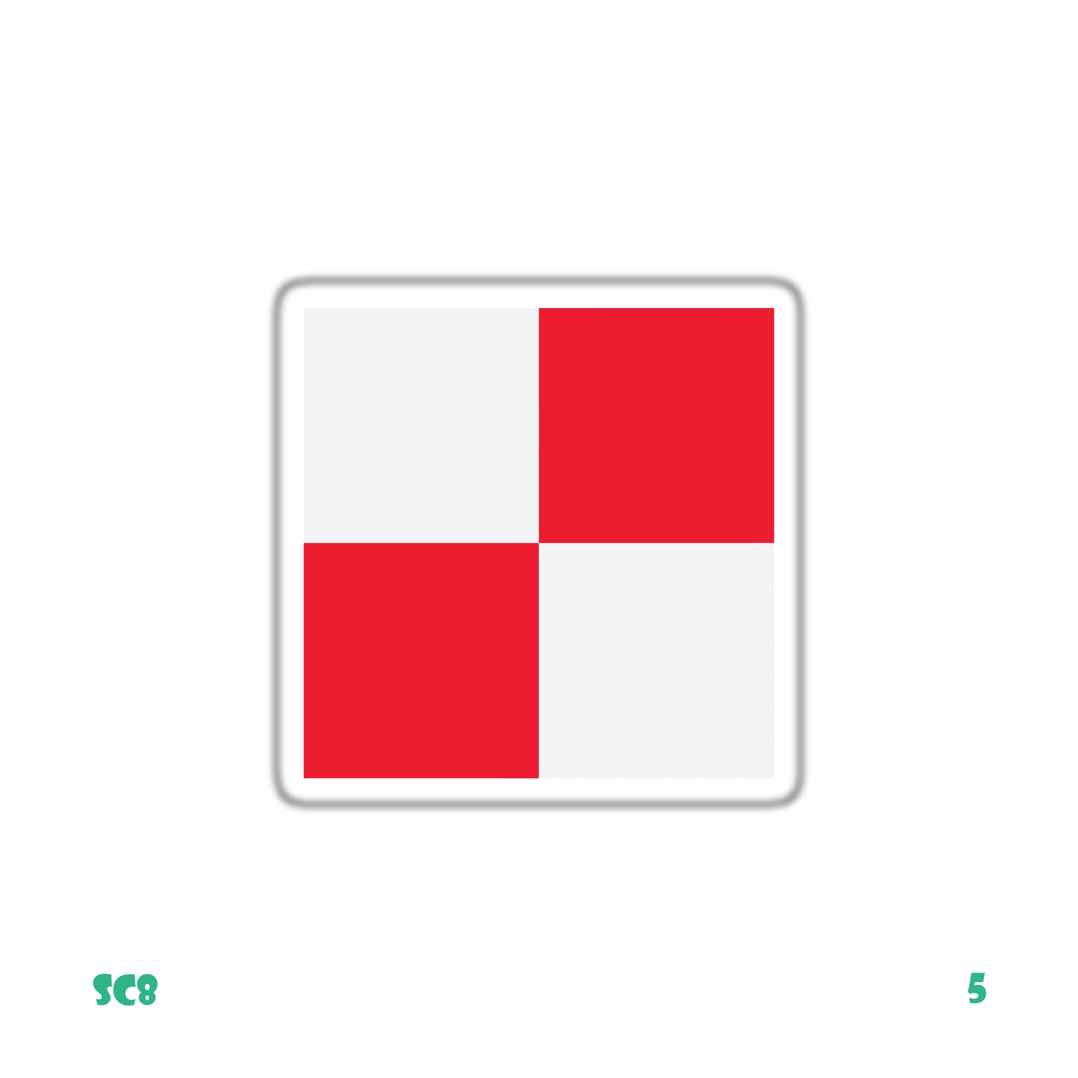 BAYERN MUNCHEN'S CHECKERED FLAG