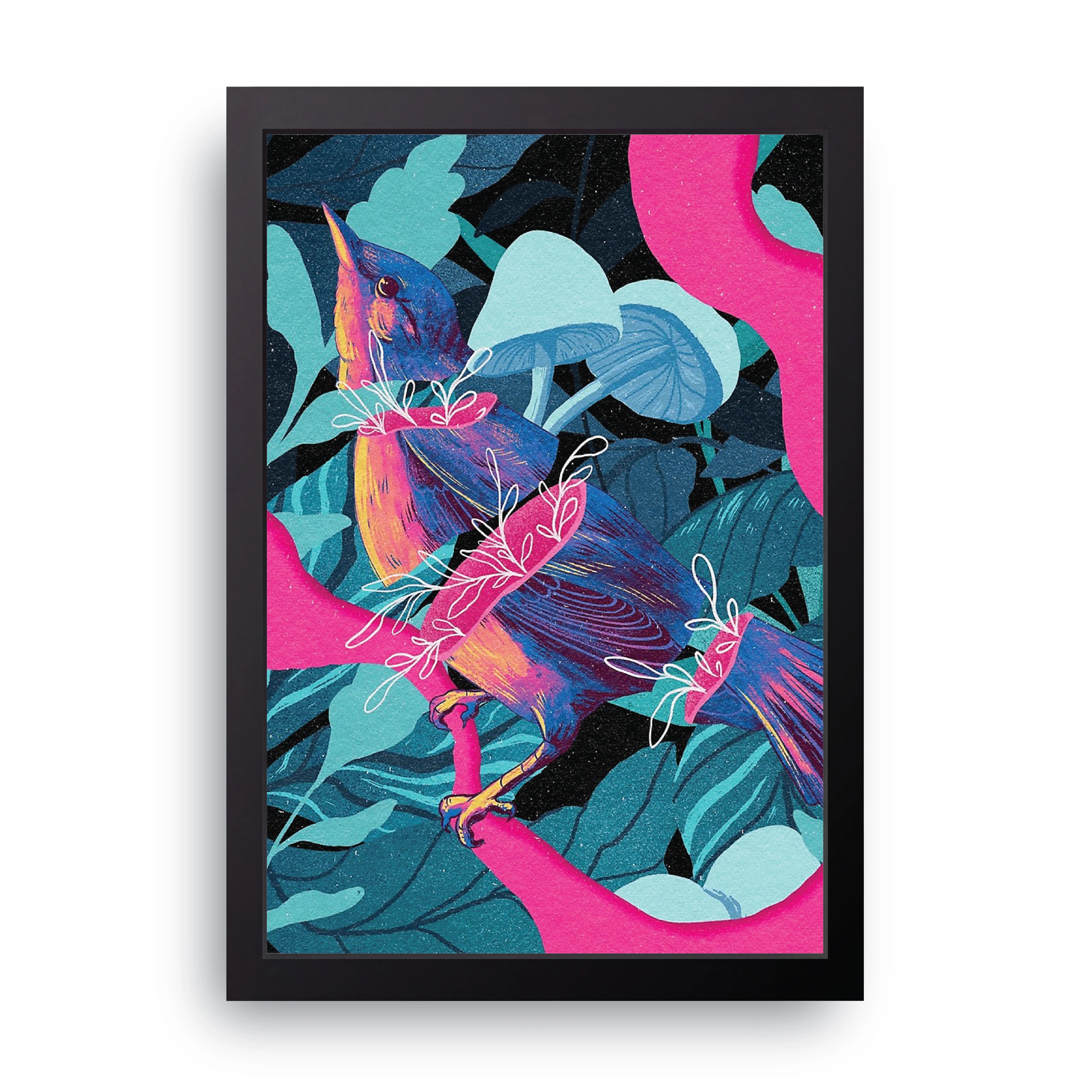 Tropical Kingfisher FRAME