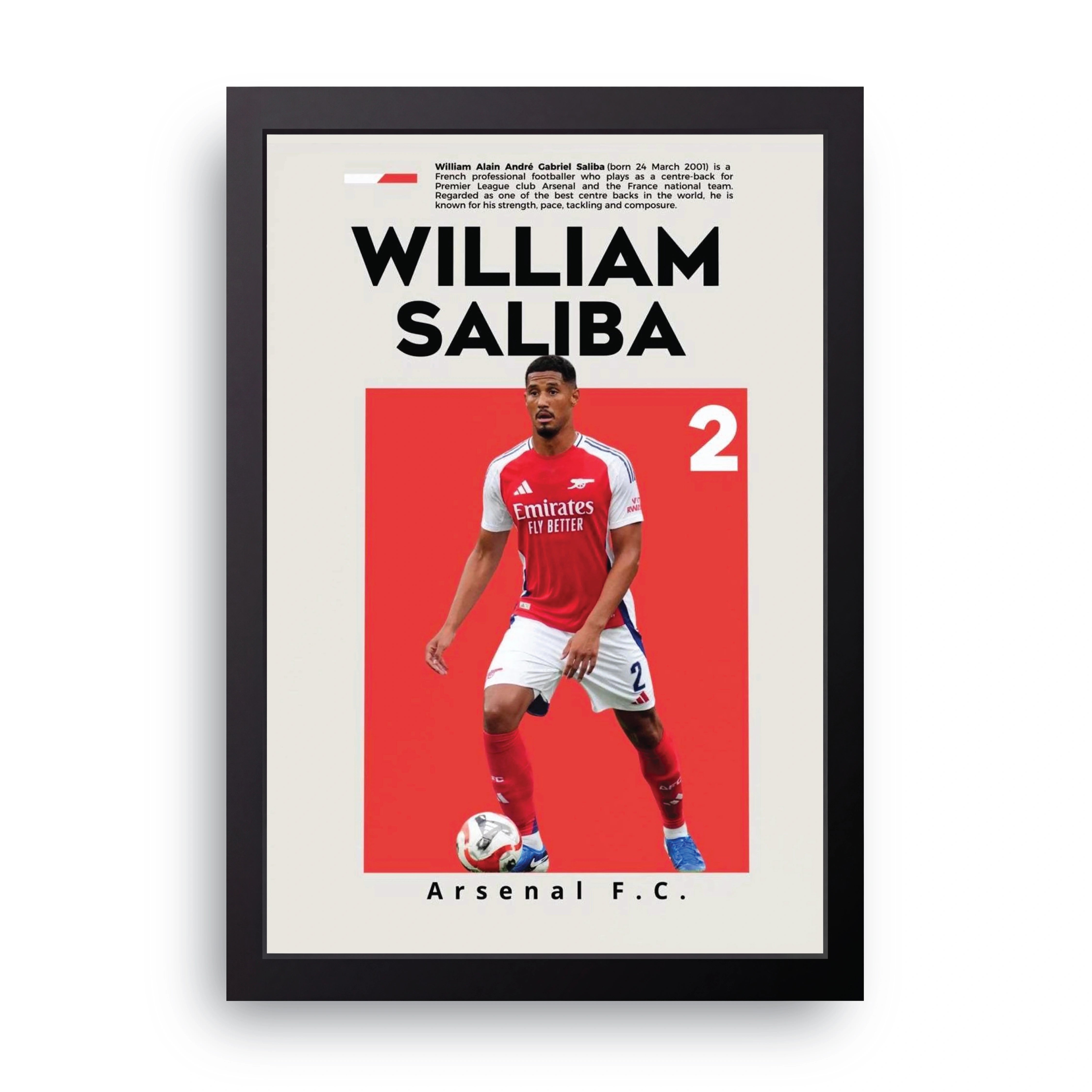 WILLIAM SALIBA FRAME