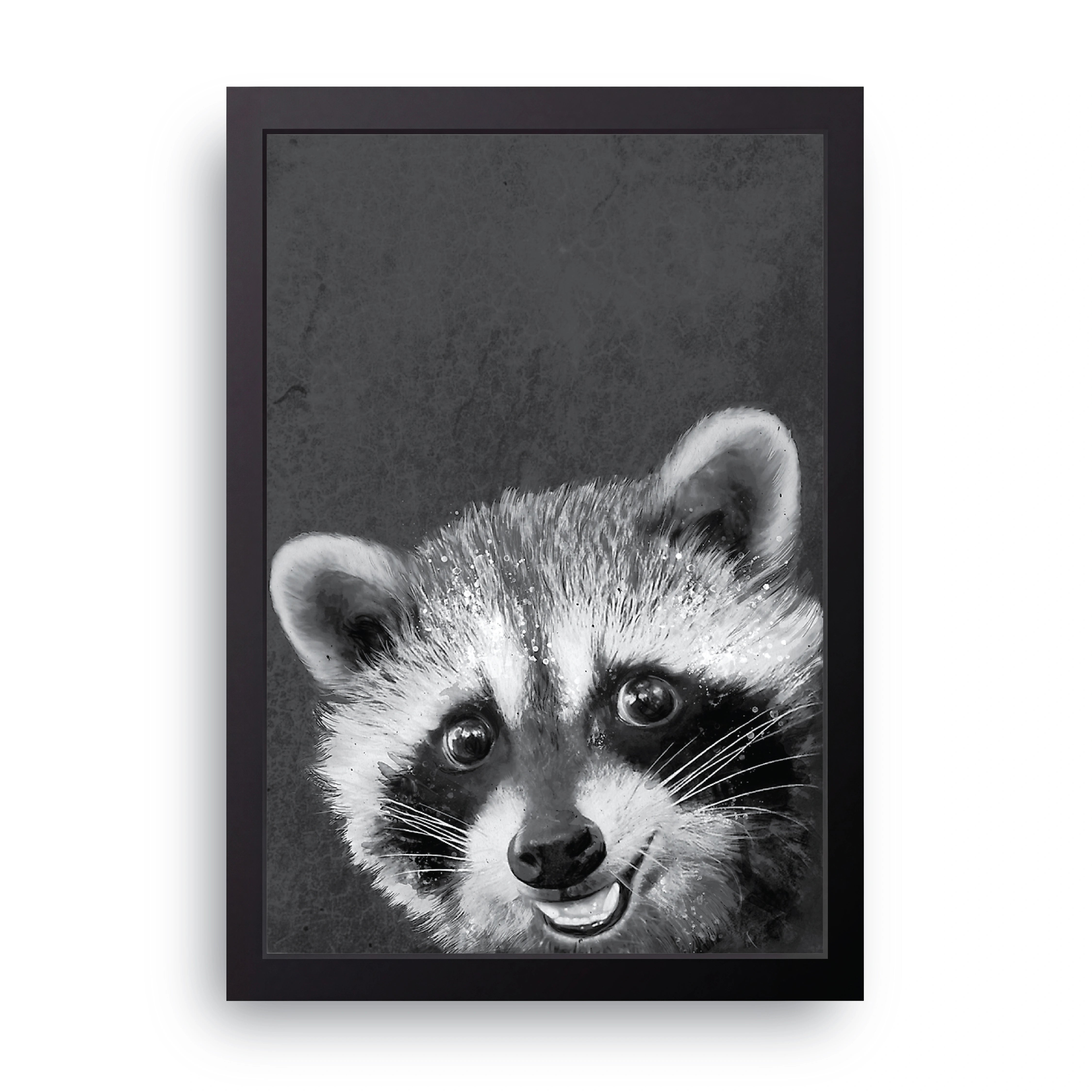 Baby Raccoon FRAME