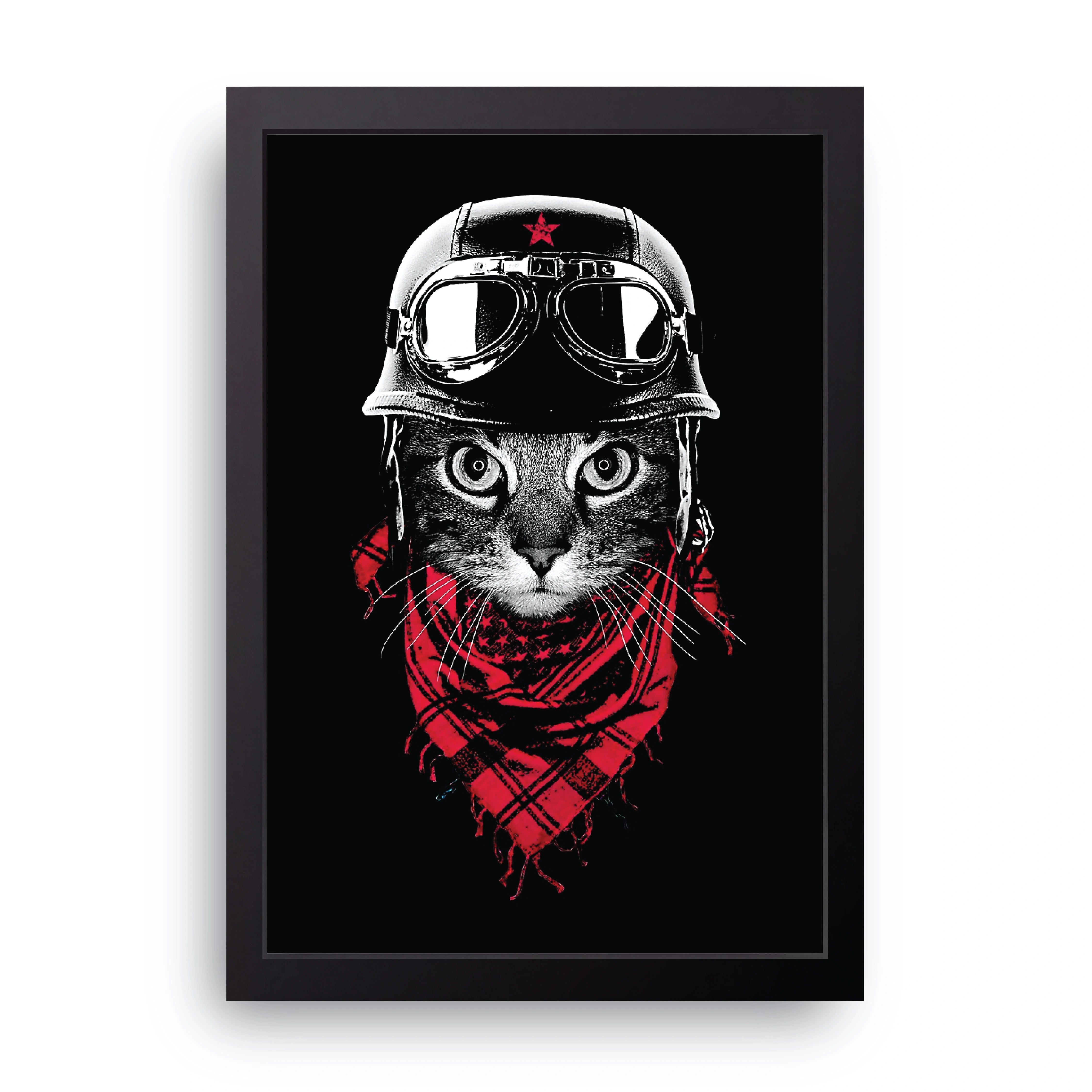 Biker Cat FRAME