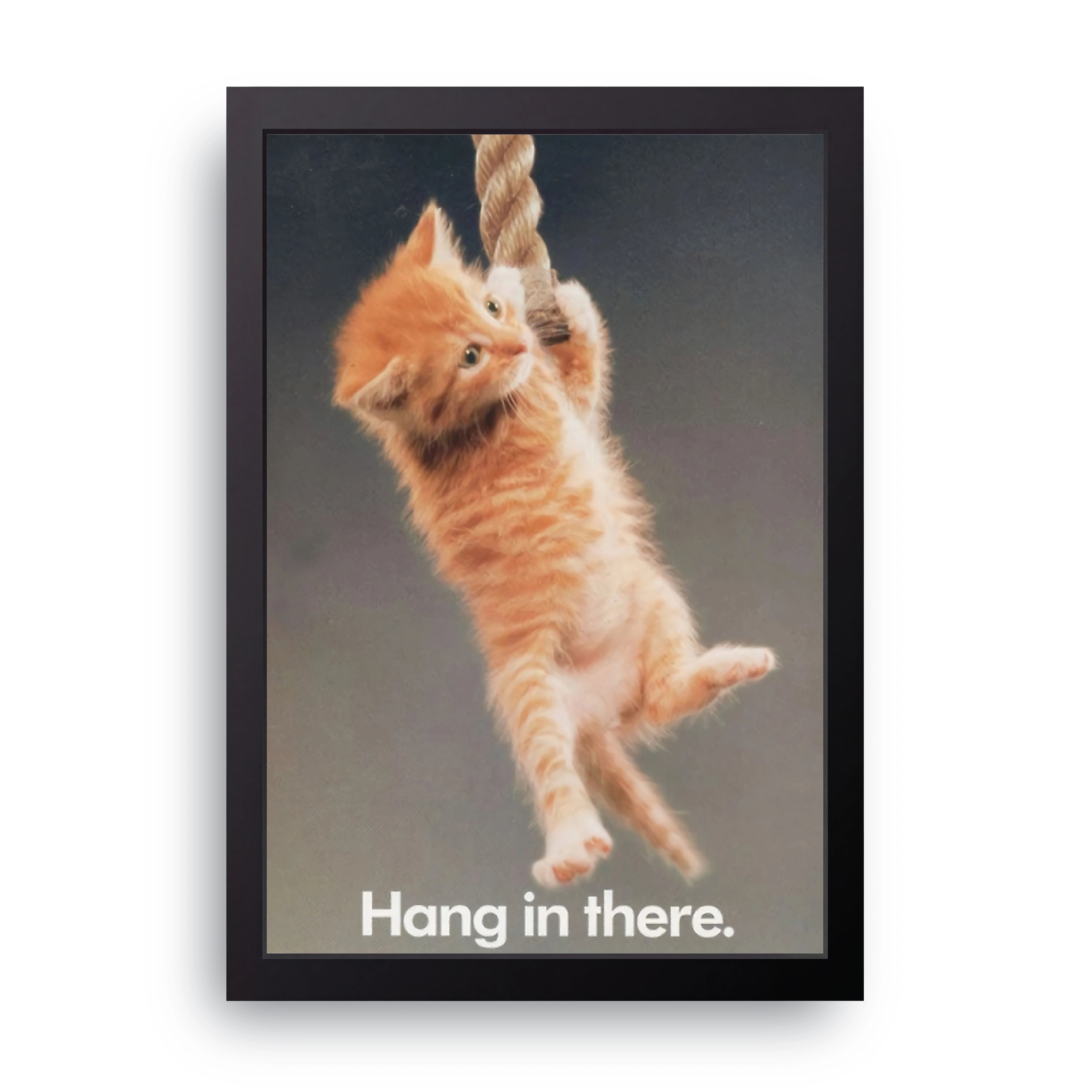 Hang In There Kitten FRAME