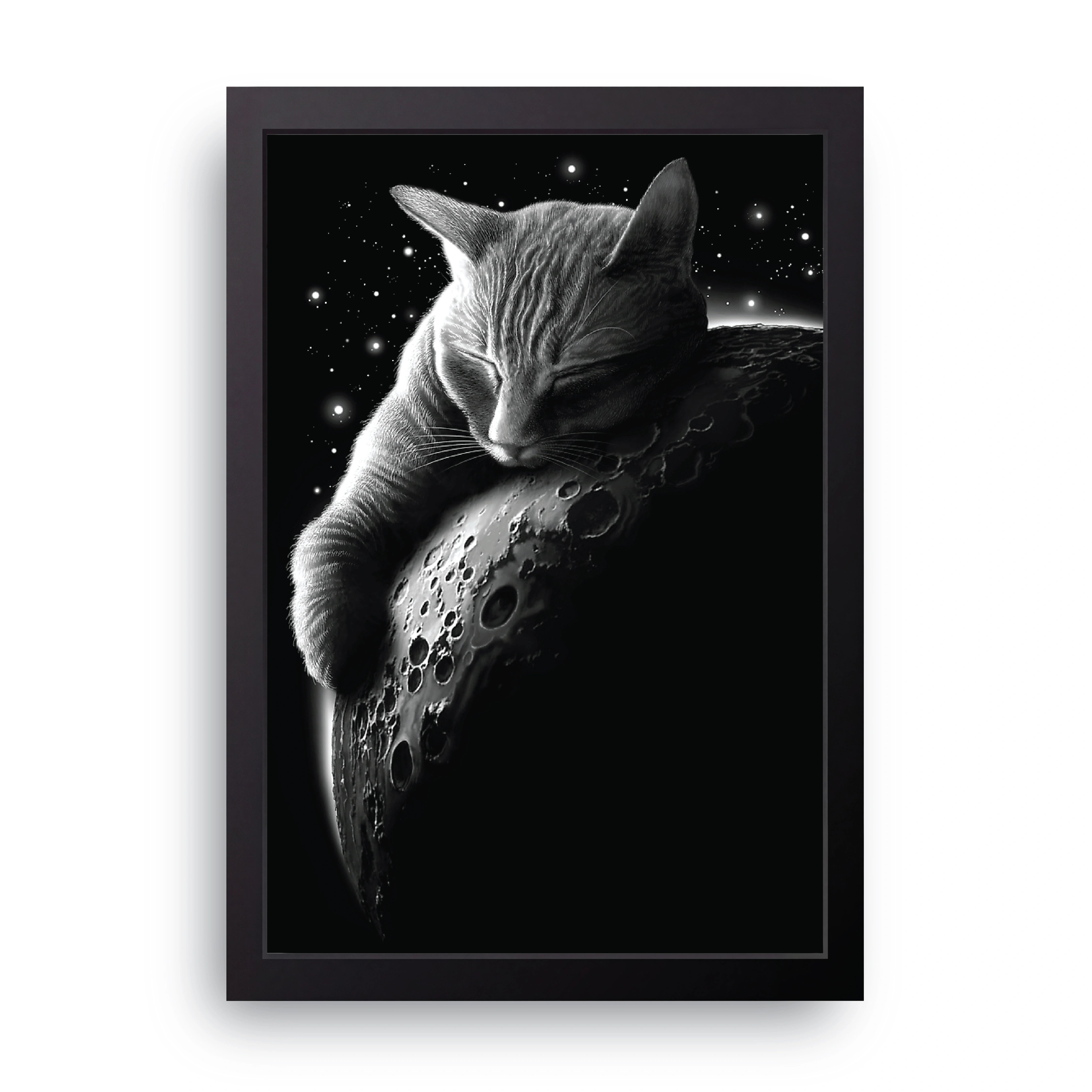 Moon Cat FRAME