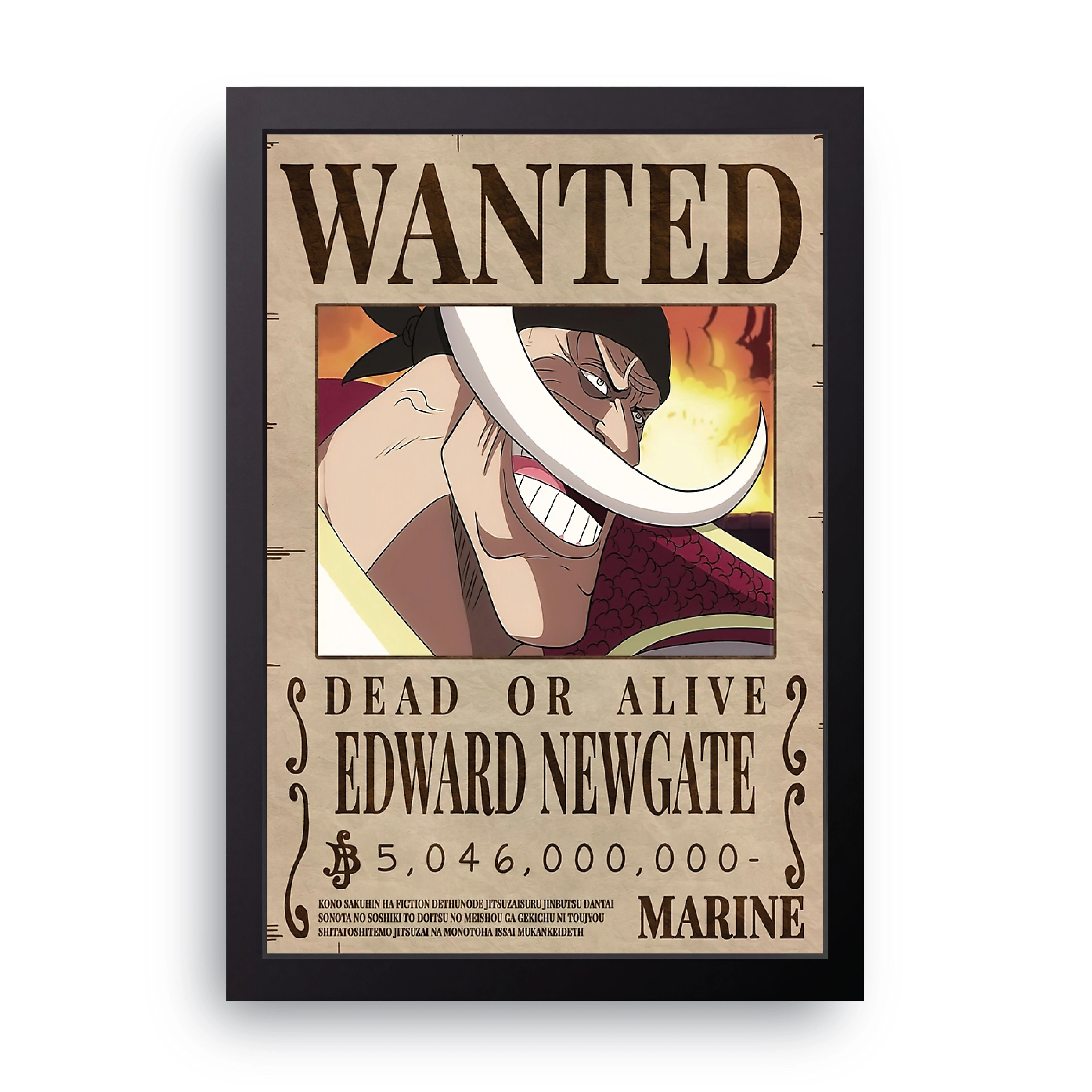 ONE PIECE (2) FRAME