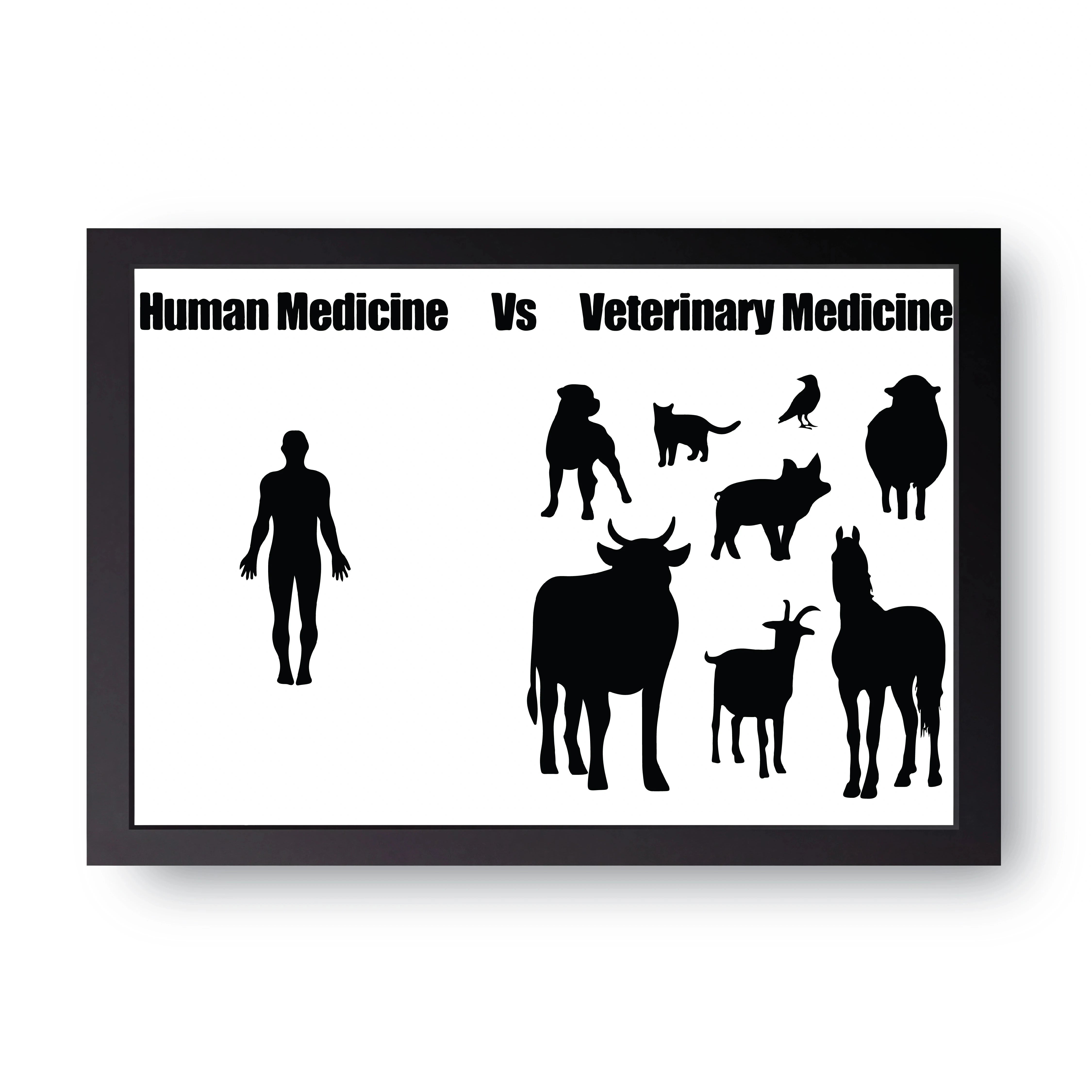 Human Vs Vet FRAME