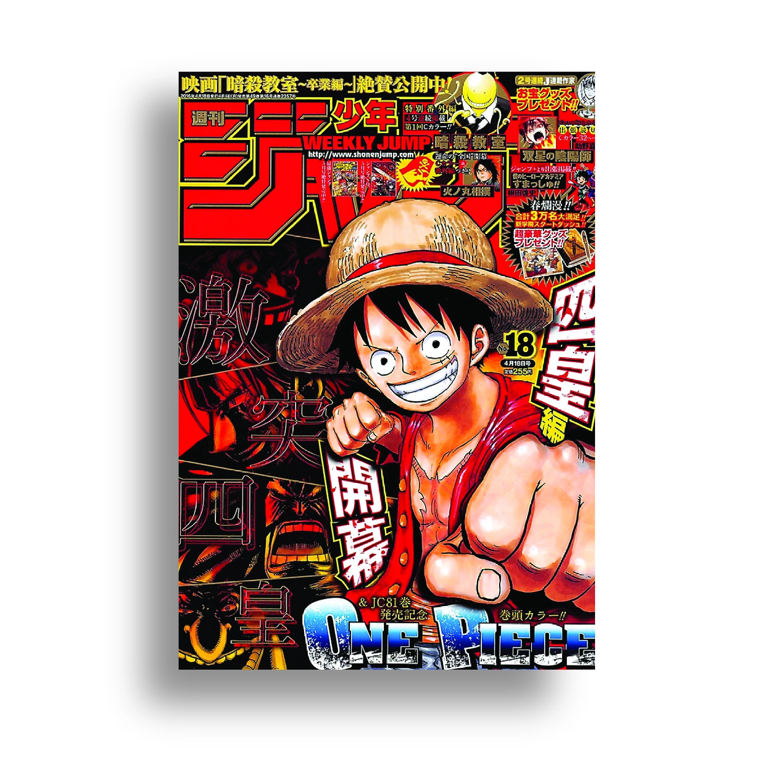 ONE PIECE (6)