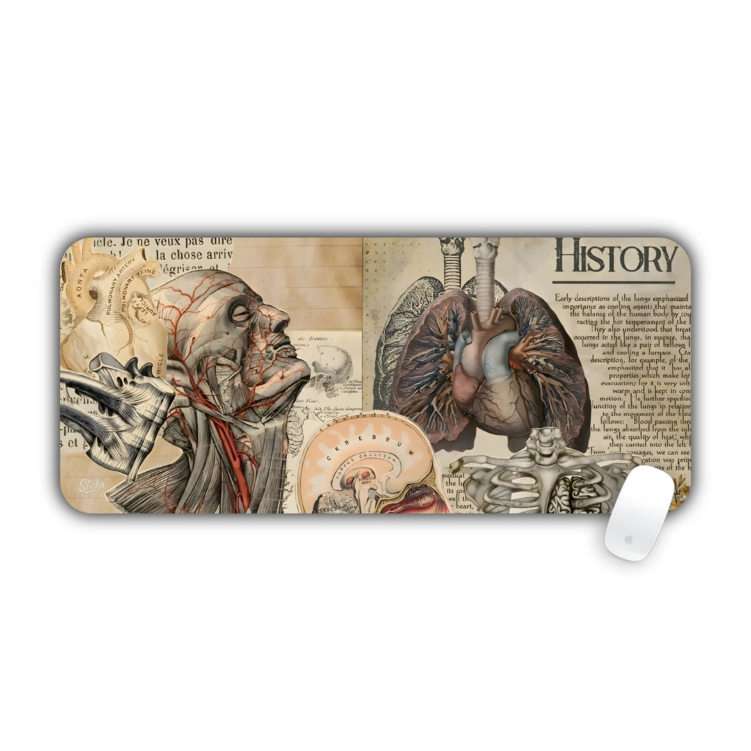 Vintage anatomy sheets showing lungs, head cross-section and bones desk pad 70x30