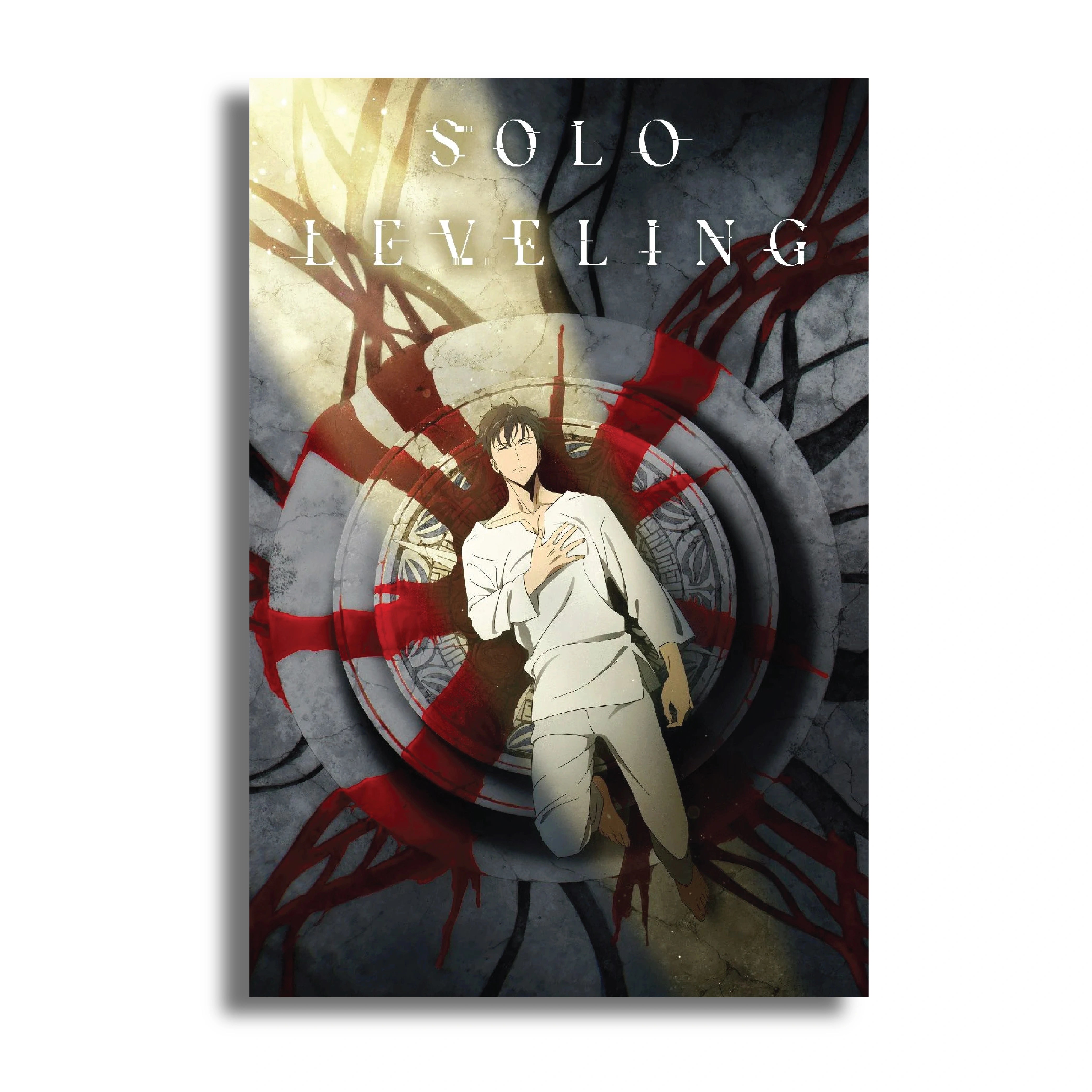 SOLO LEVELING (5)