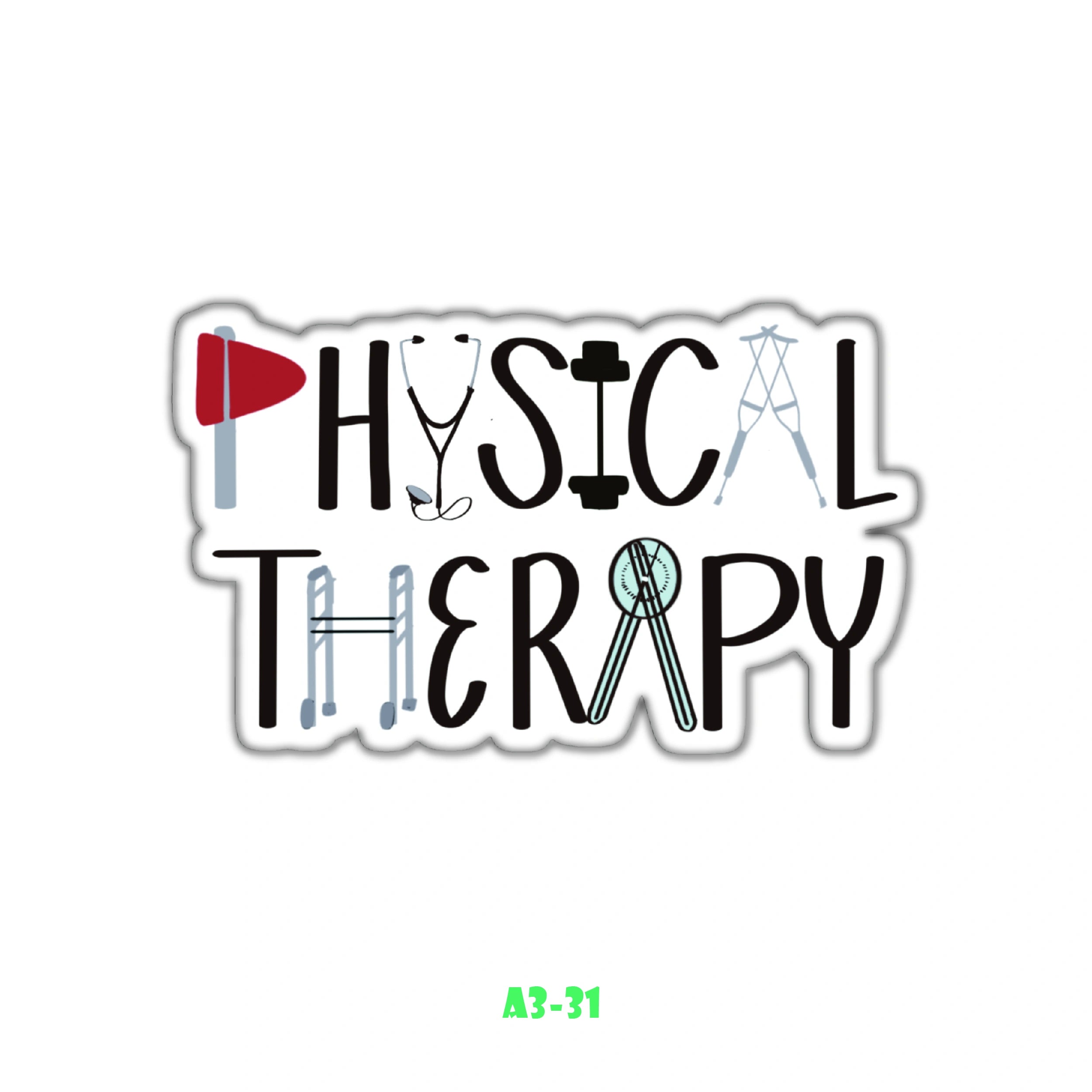 PHYSICAL THERAPIST