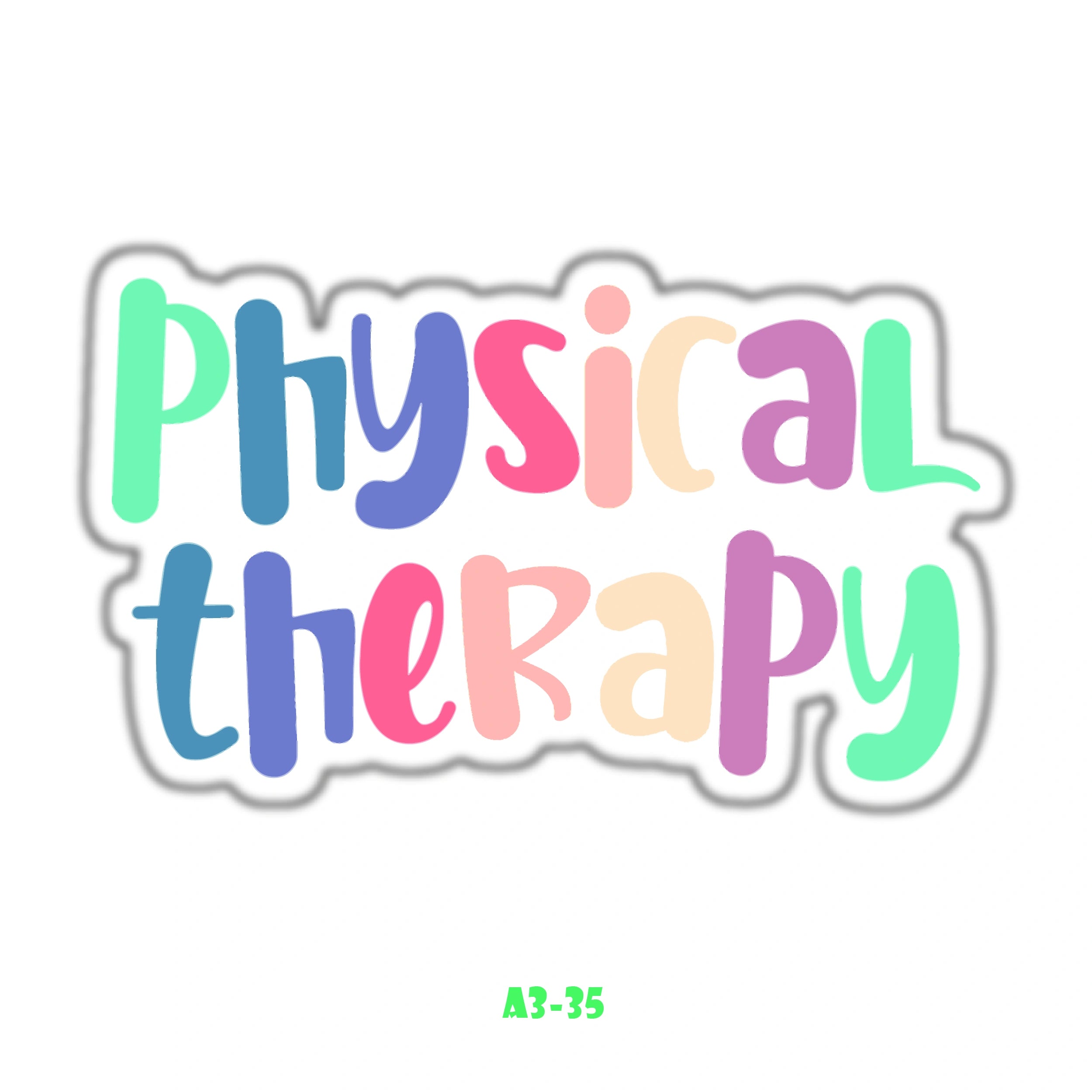 PHYSICAL THERAPIST