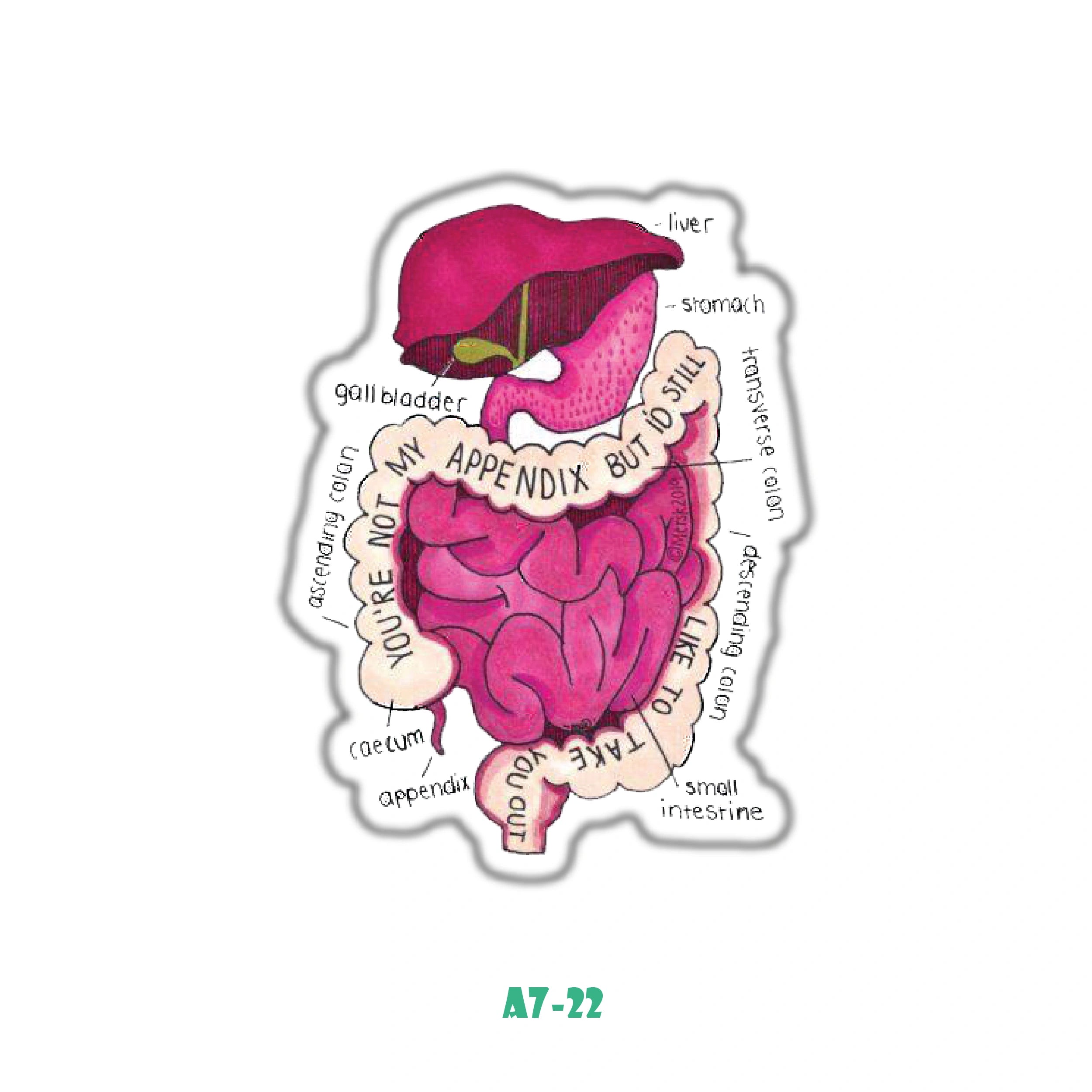 DIGESTIVE SYSTEM