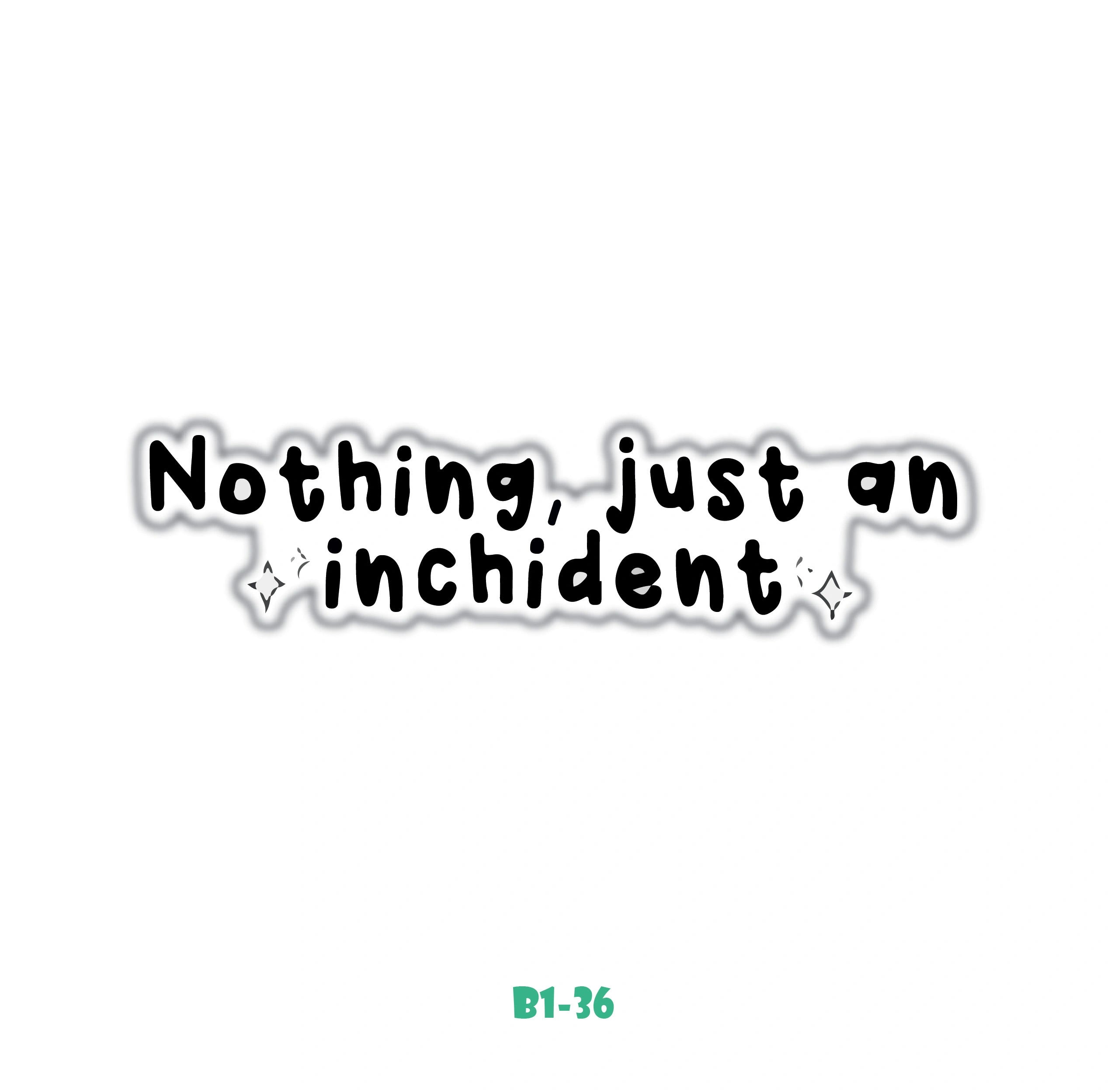 NOTHING, JUST AN INCHIDENT