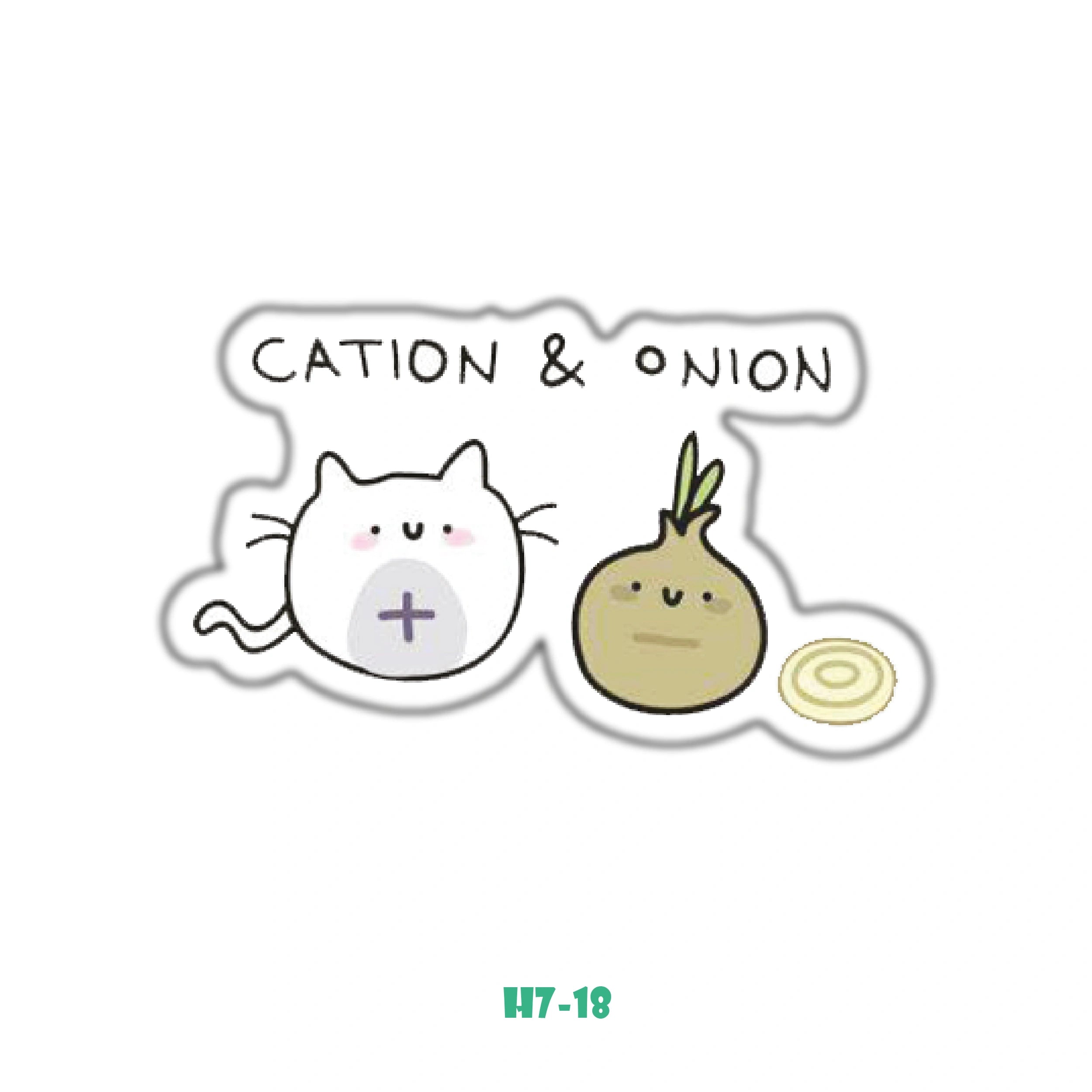 CATION & ONION