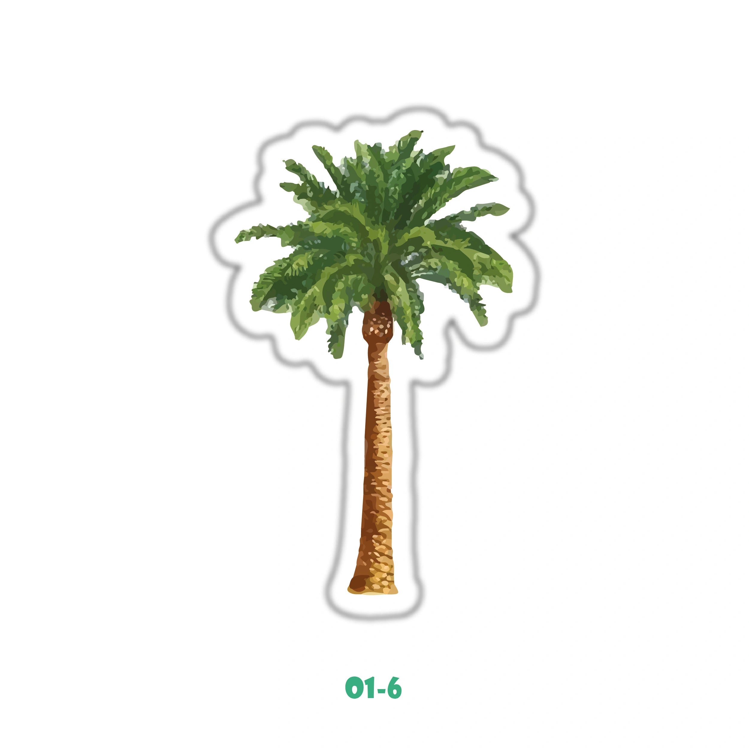 DATE PALM TREE