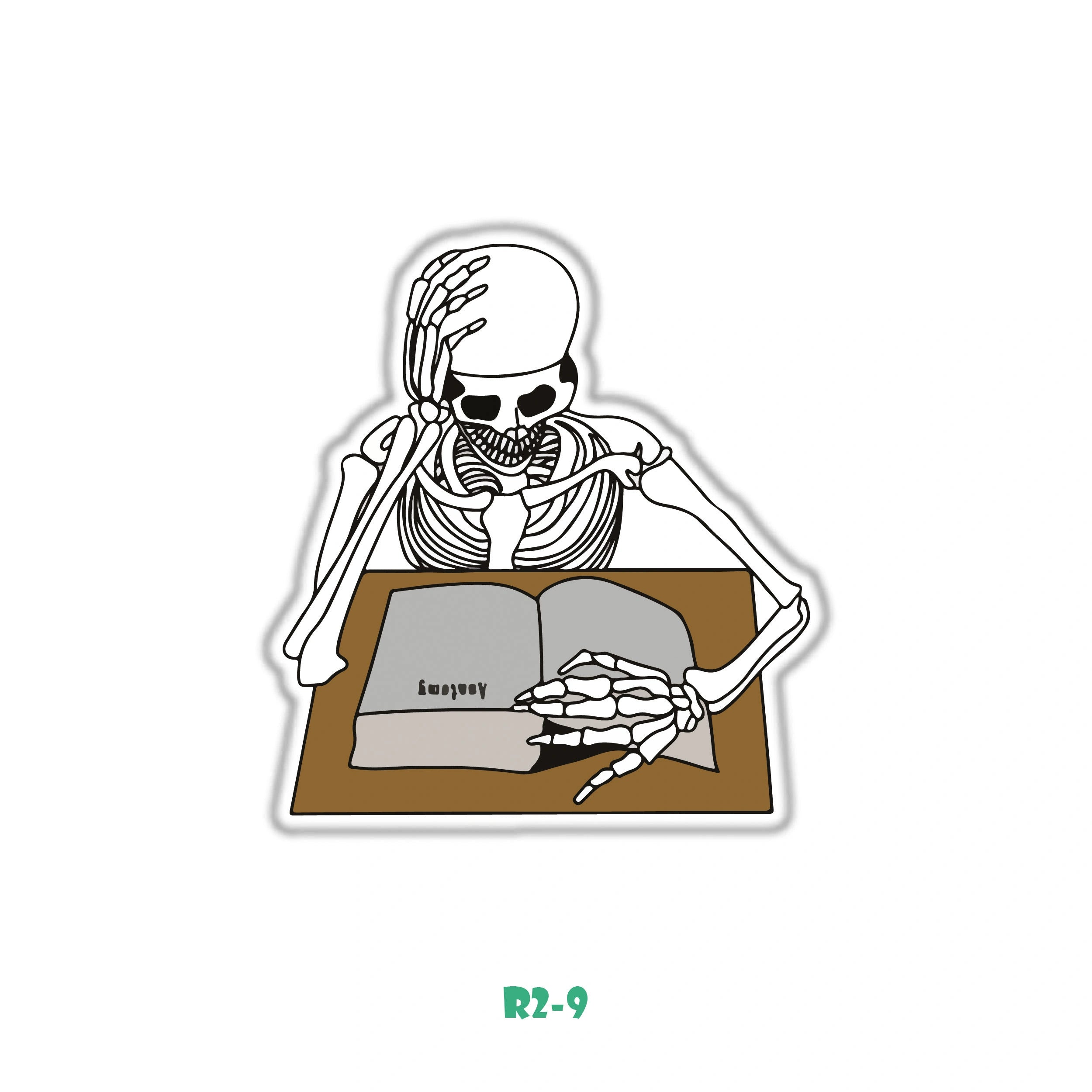 SKELETONE ANATOMY