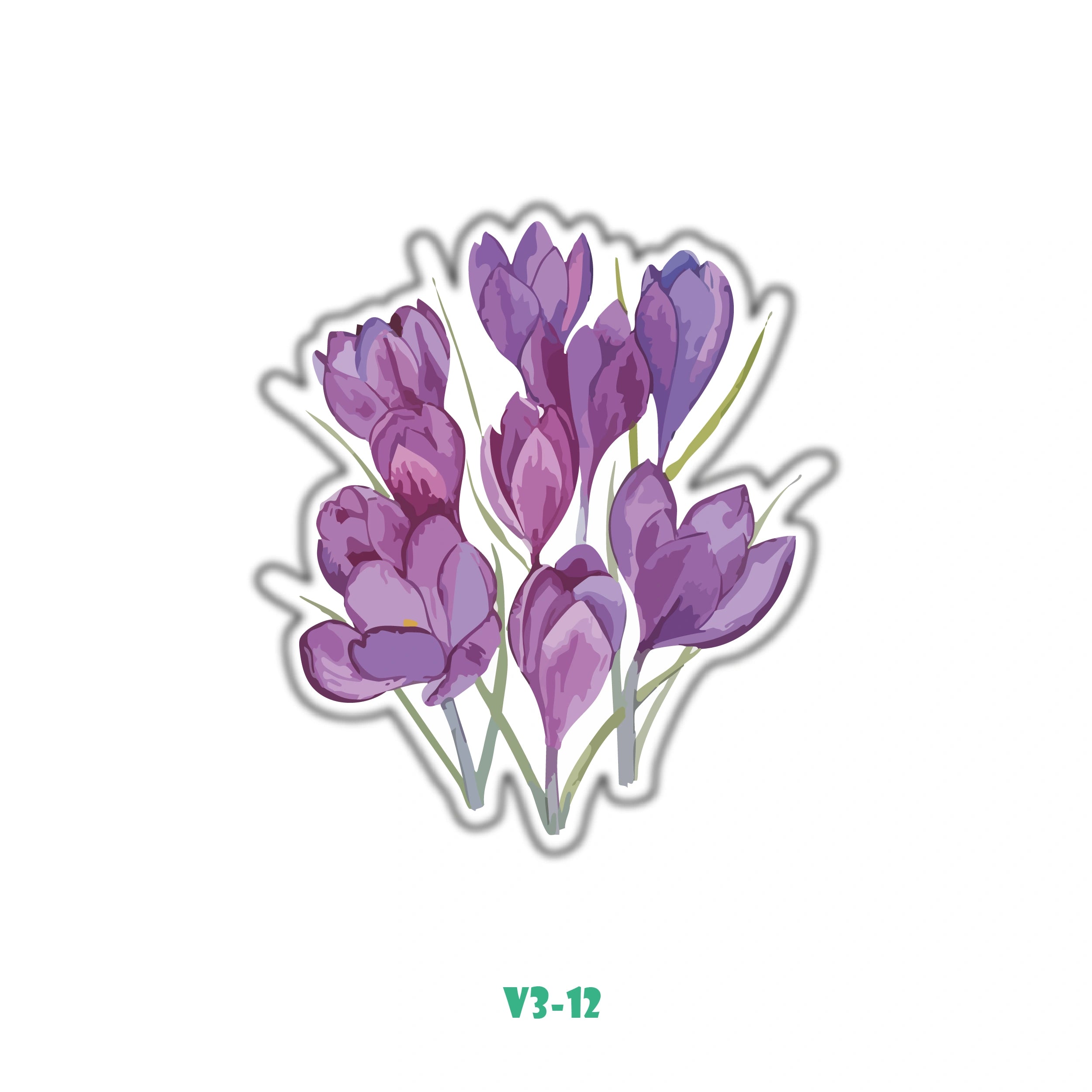 VIOLET BLOOMS