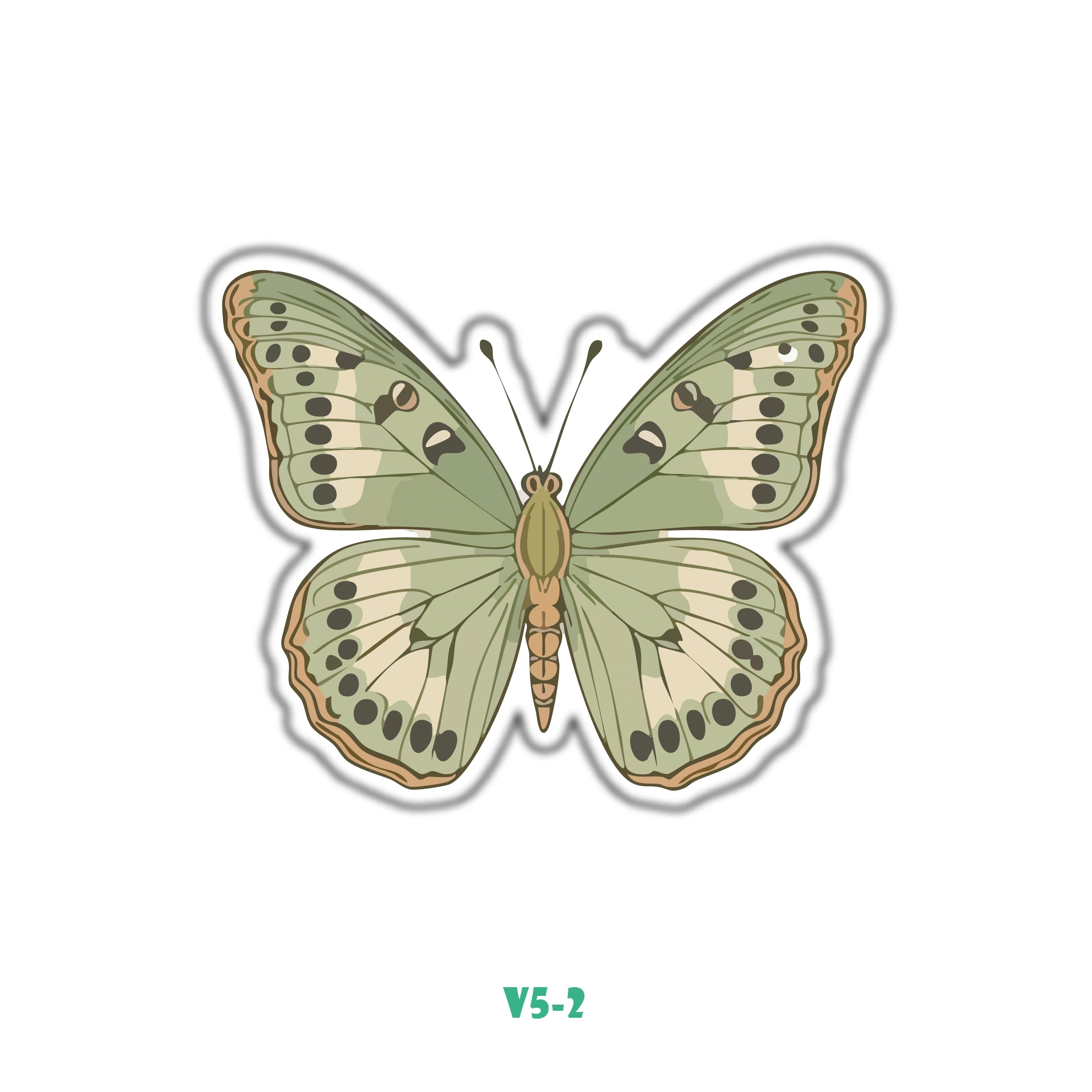 OLIVE GREEN BUTTERFLY