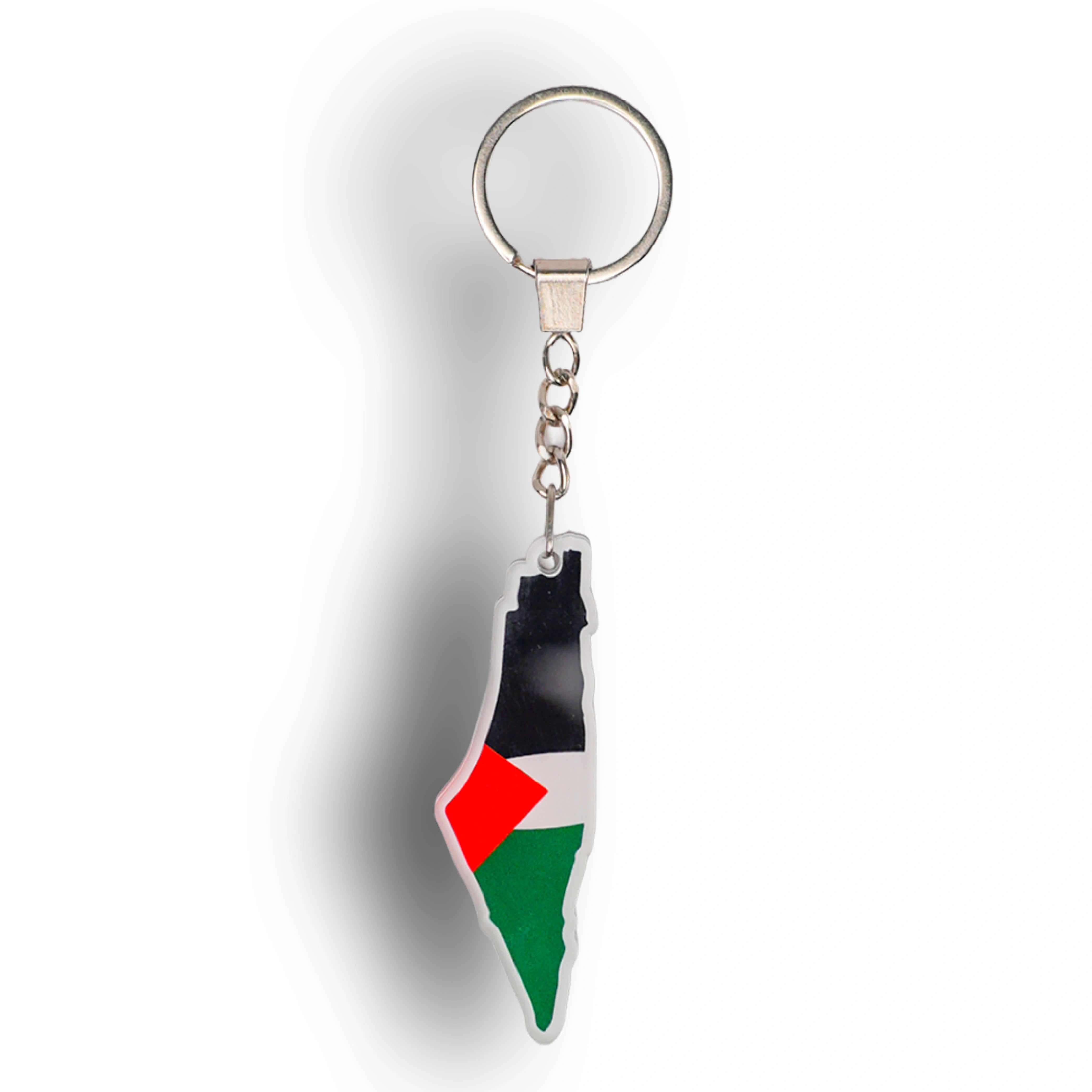 PALESTINE'S MAP