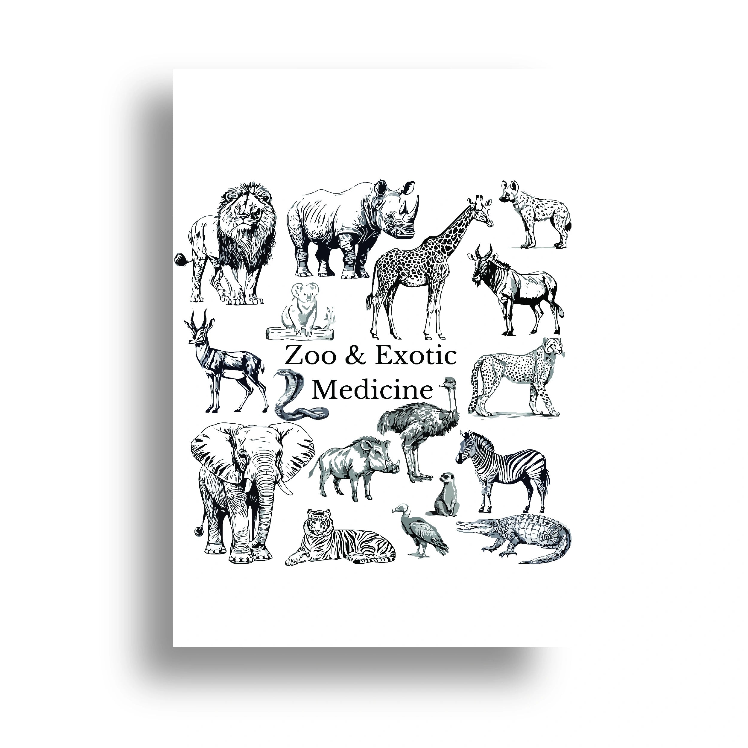 VETERINARY POSTER {11}