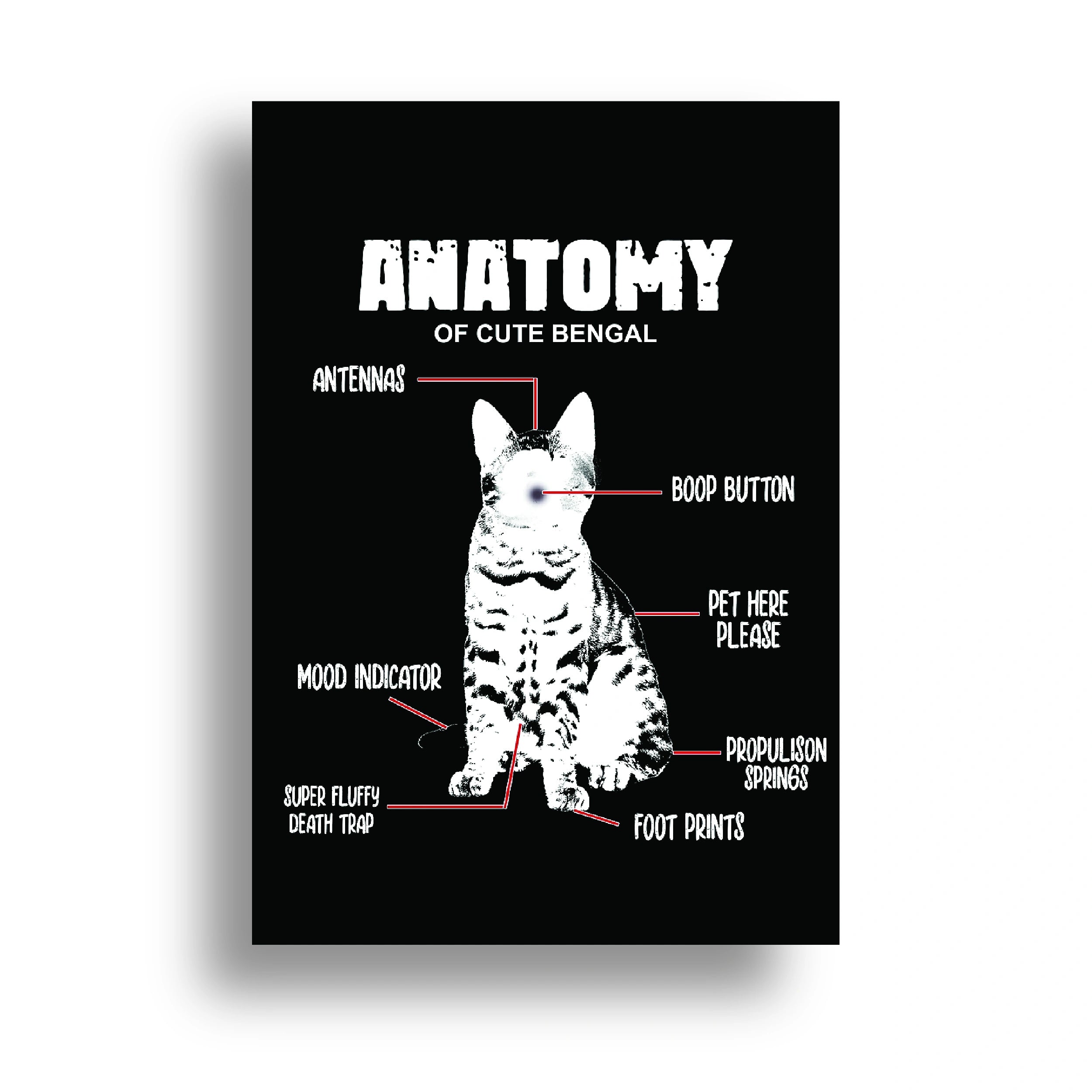 VETERINARY POSTER {19}