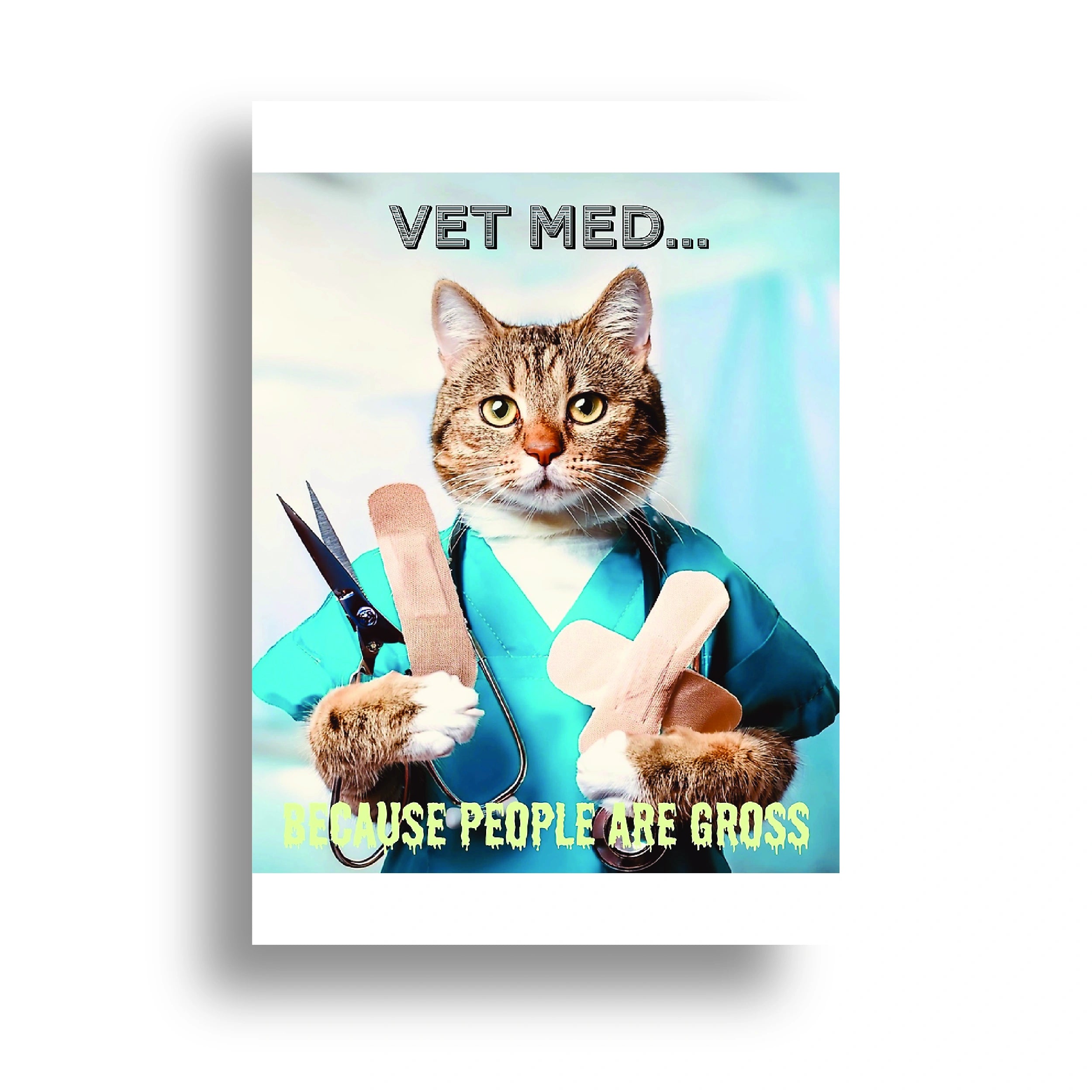 VETERINARY POSTER {6}