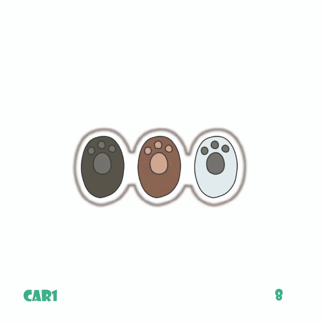 3-BEARS [21]