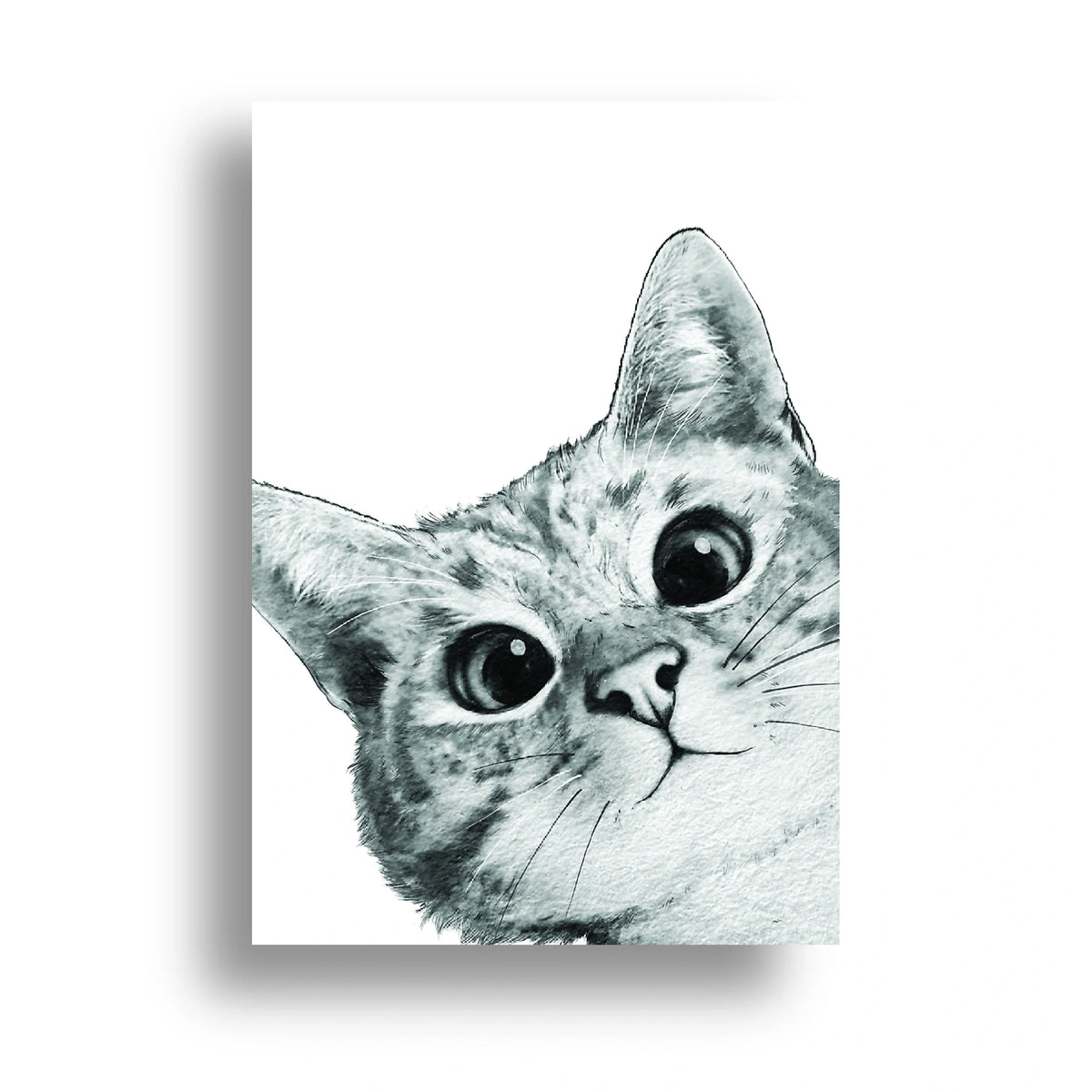 350gsm paper print
