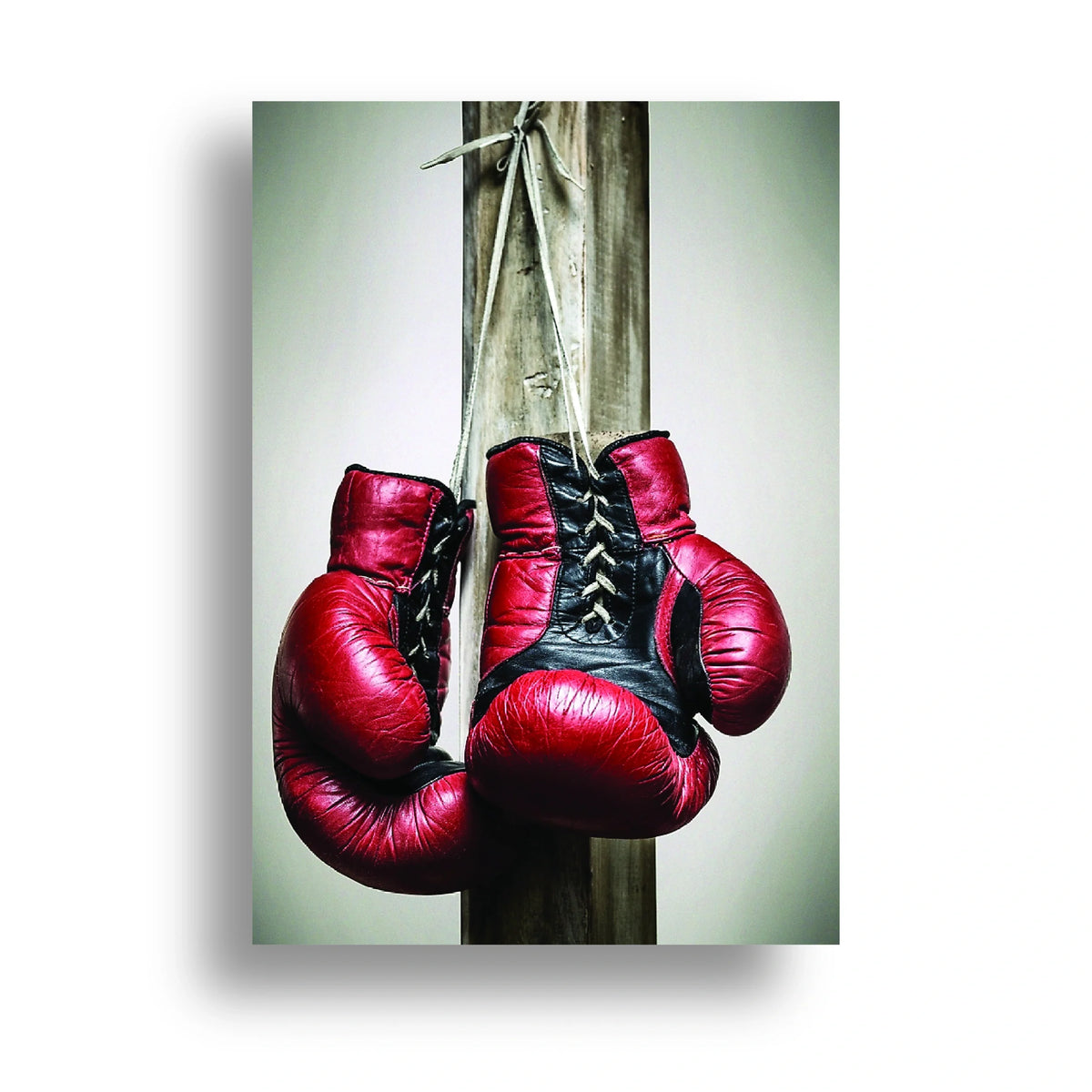 350gsm paper print