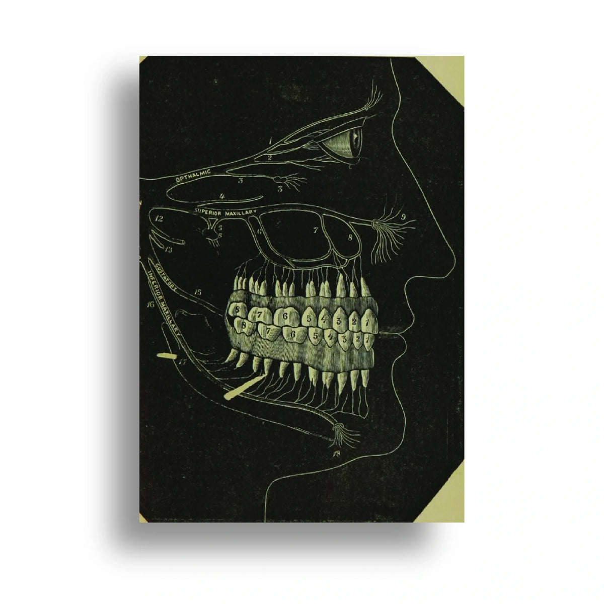 350gsm paper print