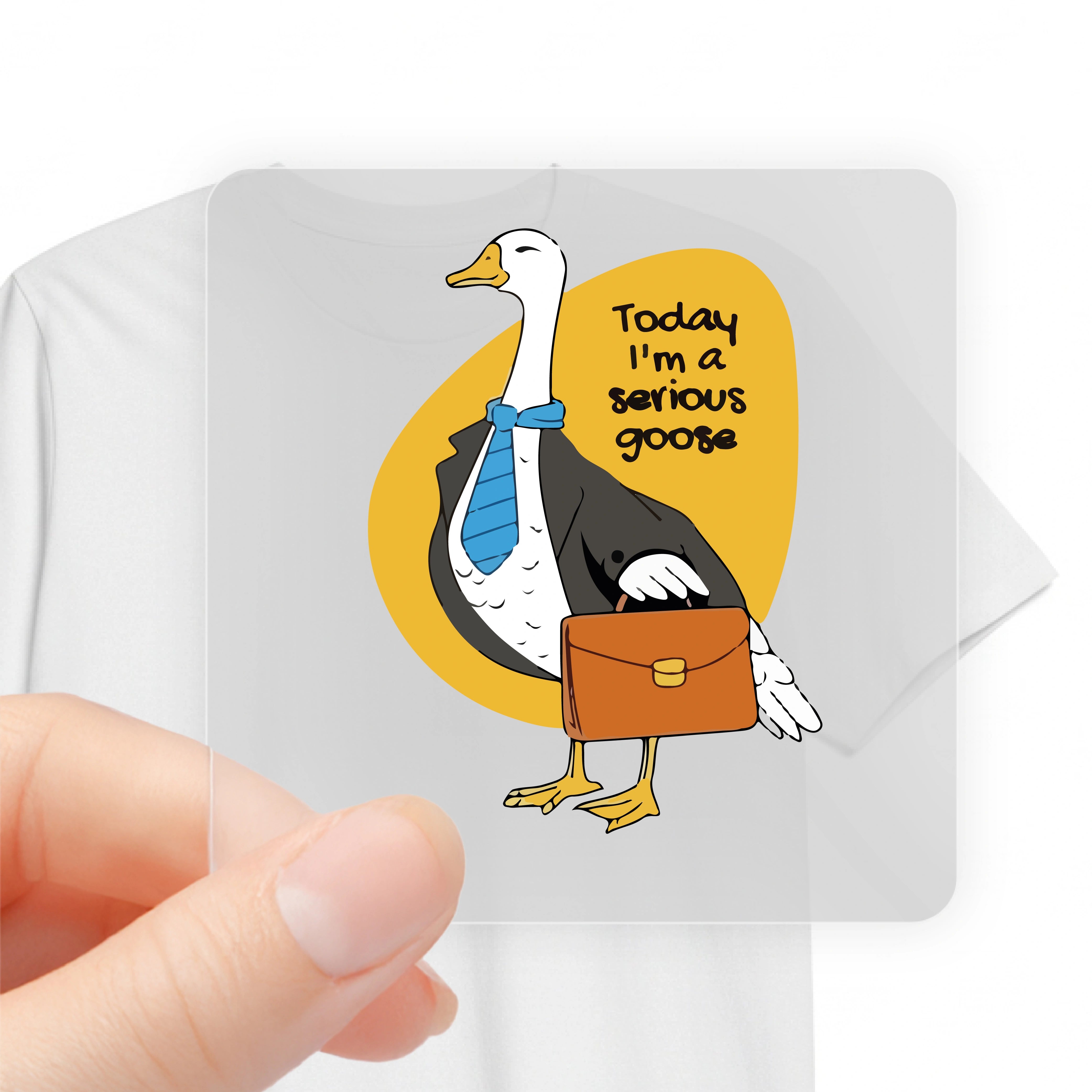 SERIOUS GOOSE