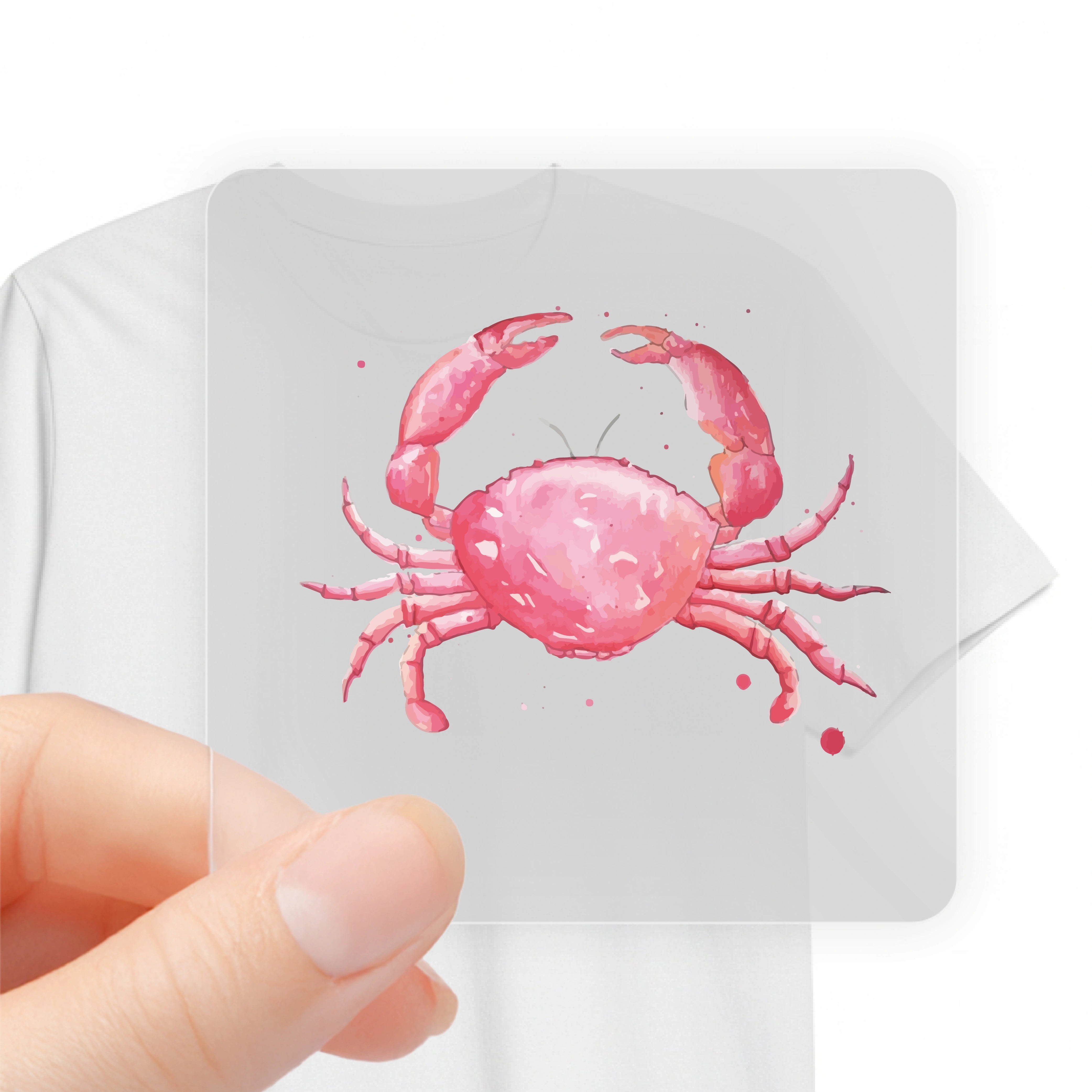 SPLASH CRAB
