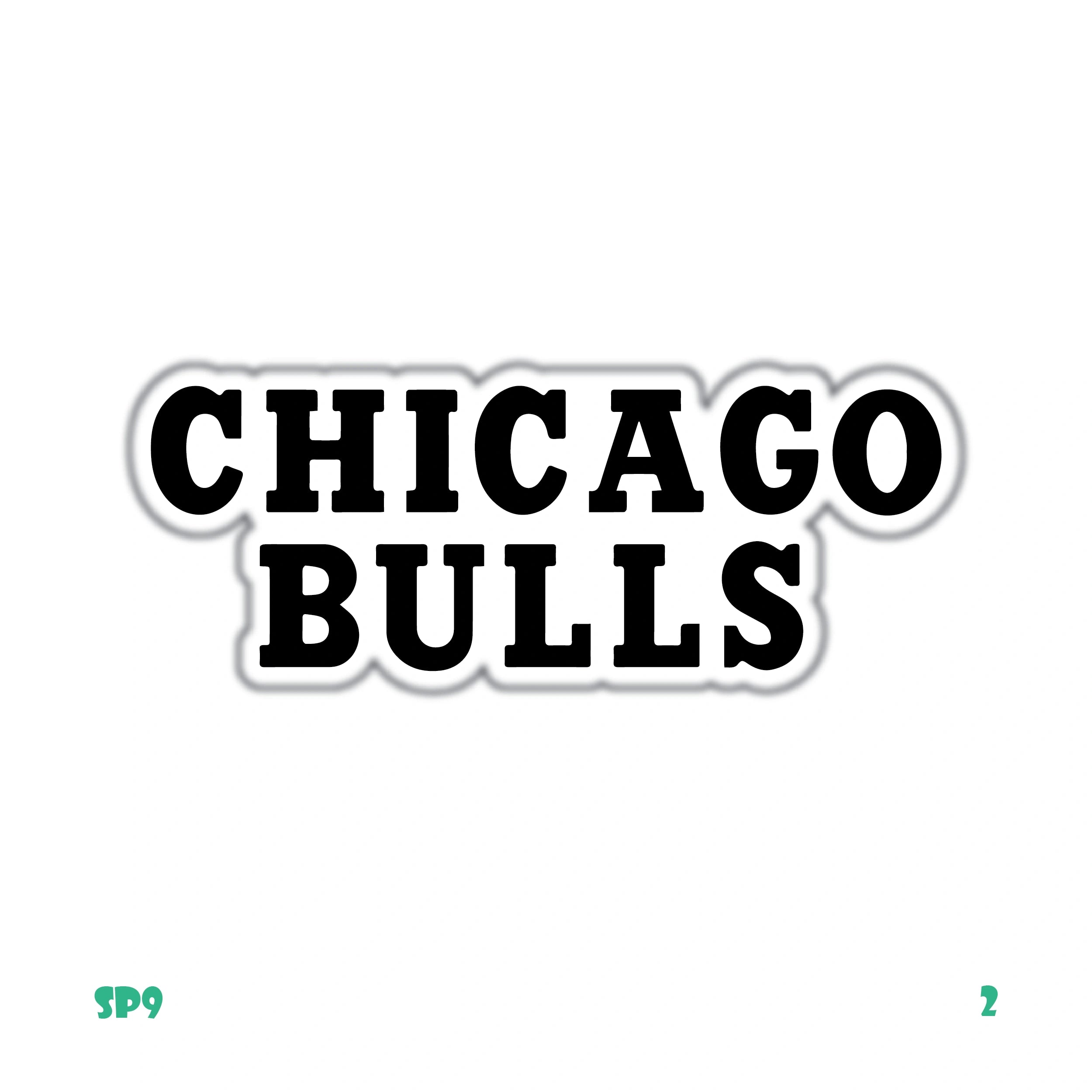 CHICAGO BULLS