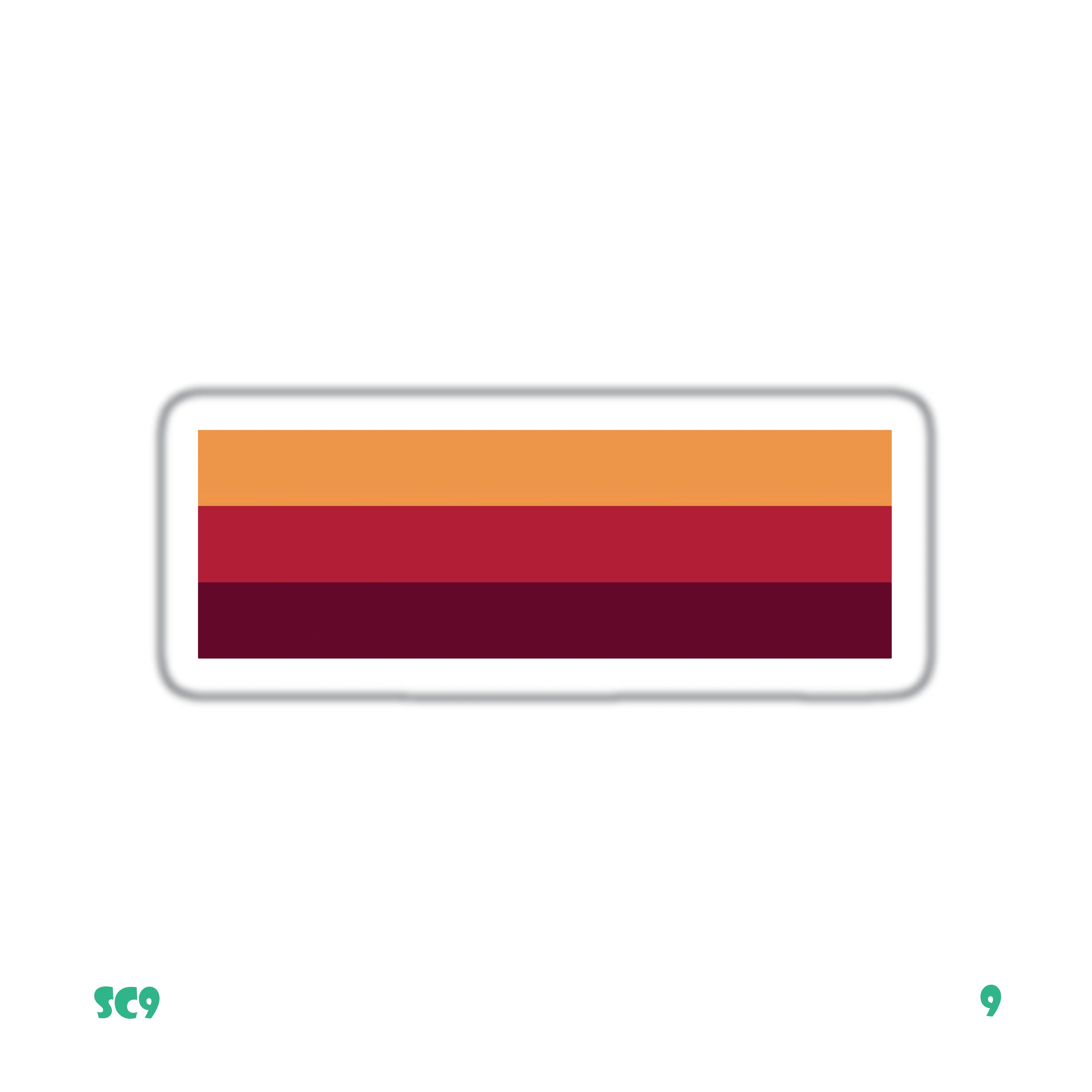 ROMA FLAG