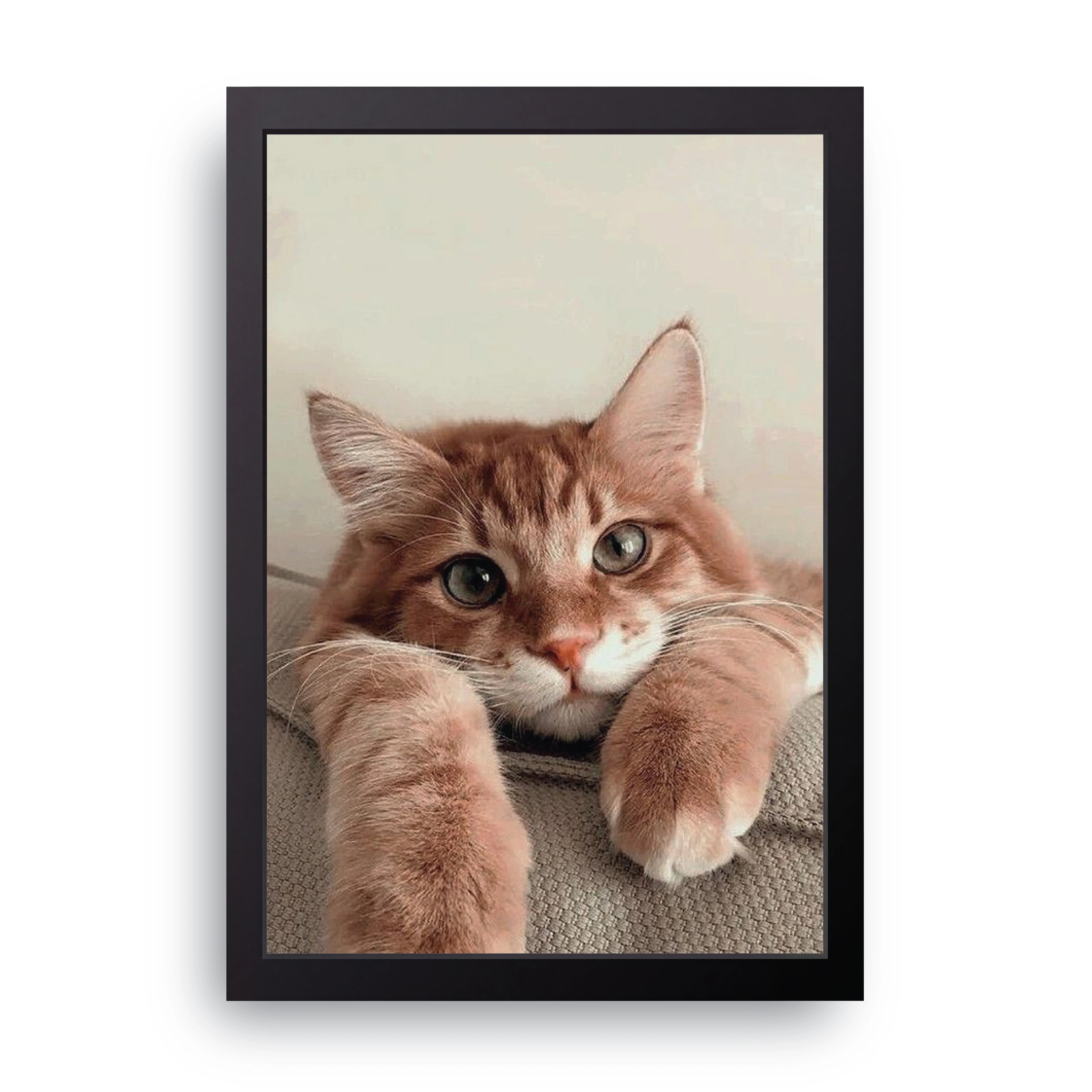 Ginger Cat Paws FRAME