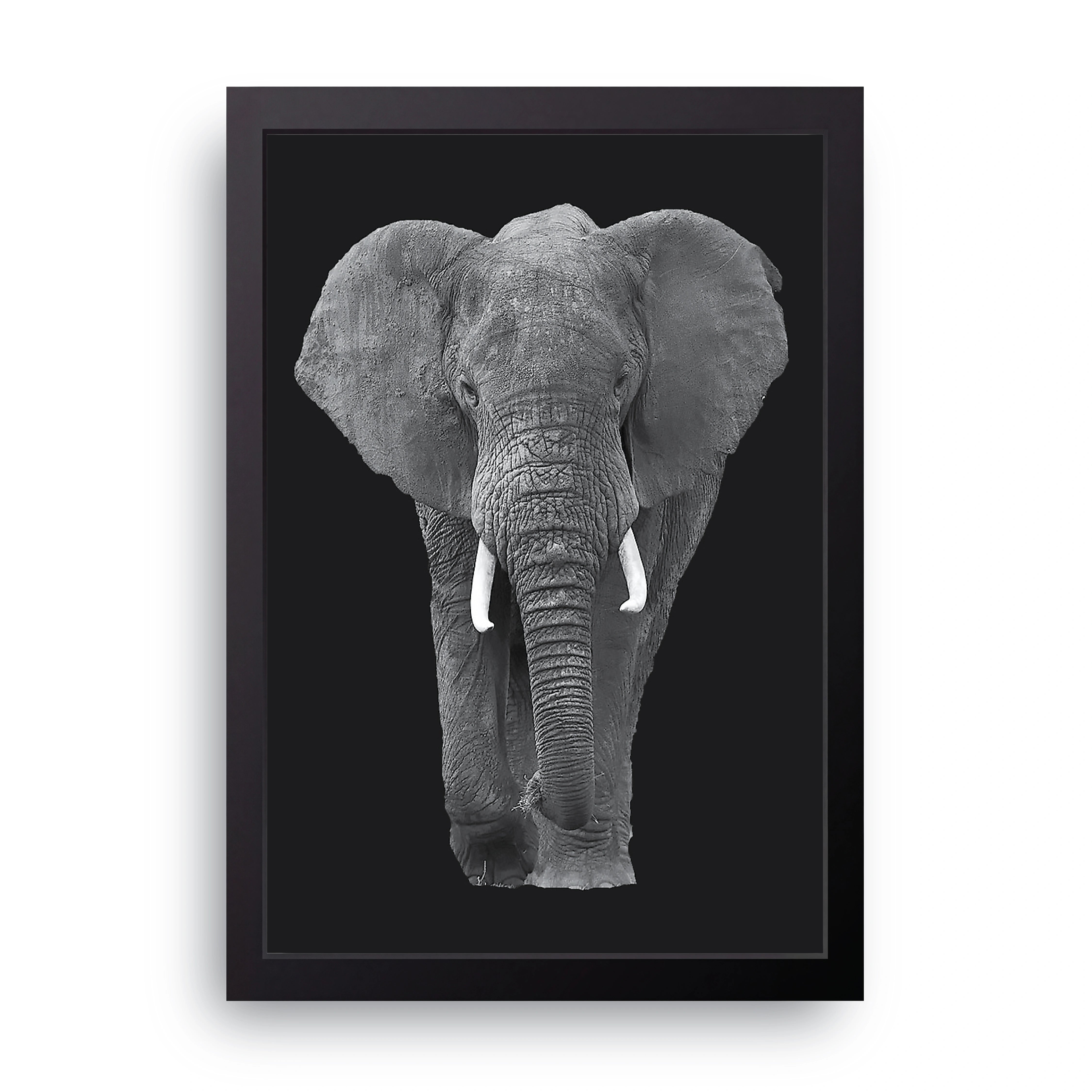 Elephant Portrait FRAME