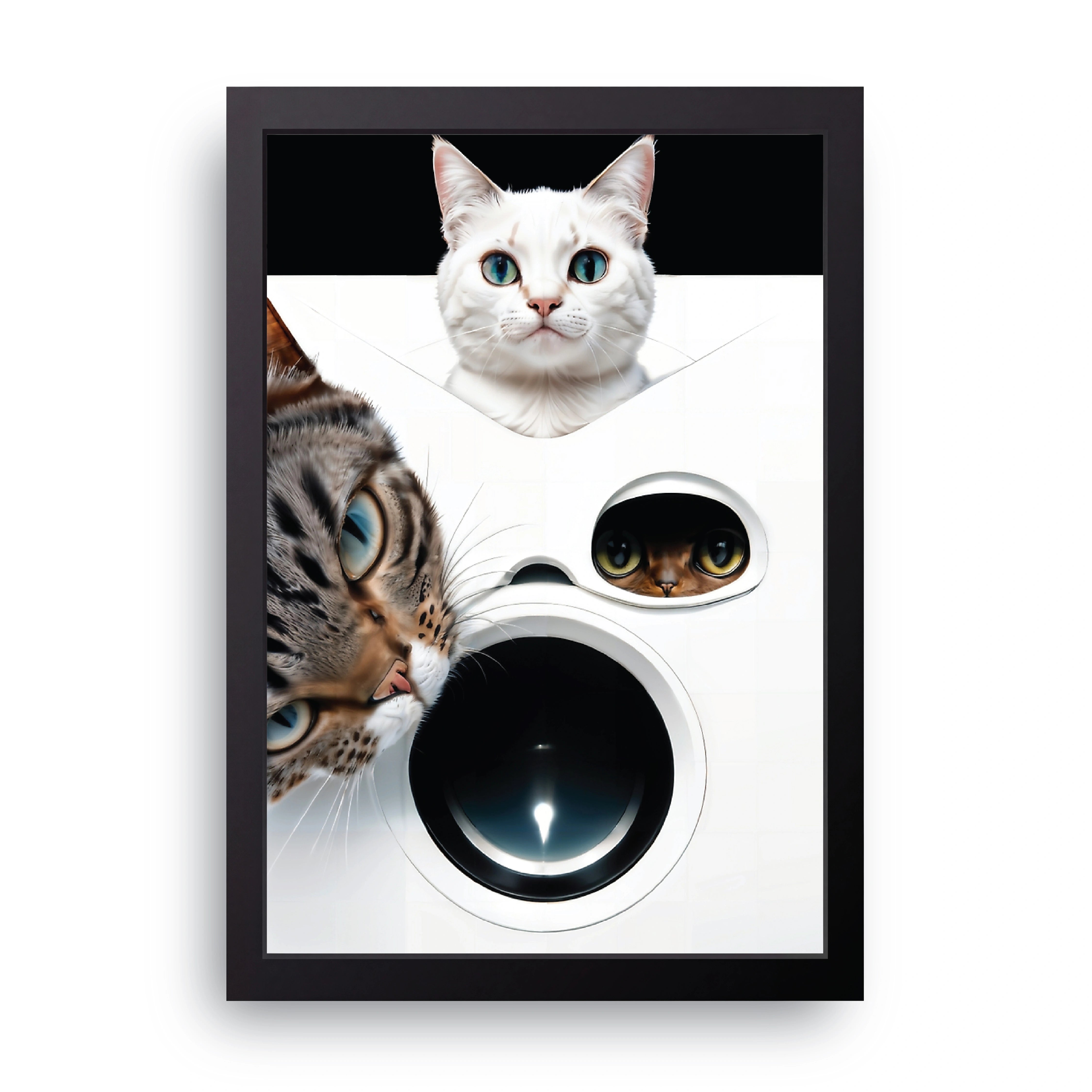Cats And Washing Machine FRAME