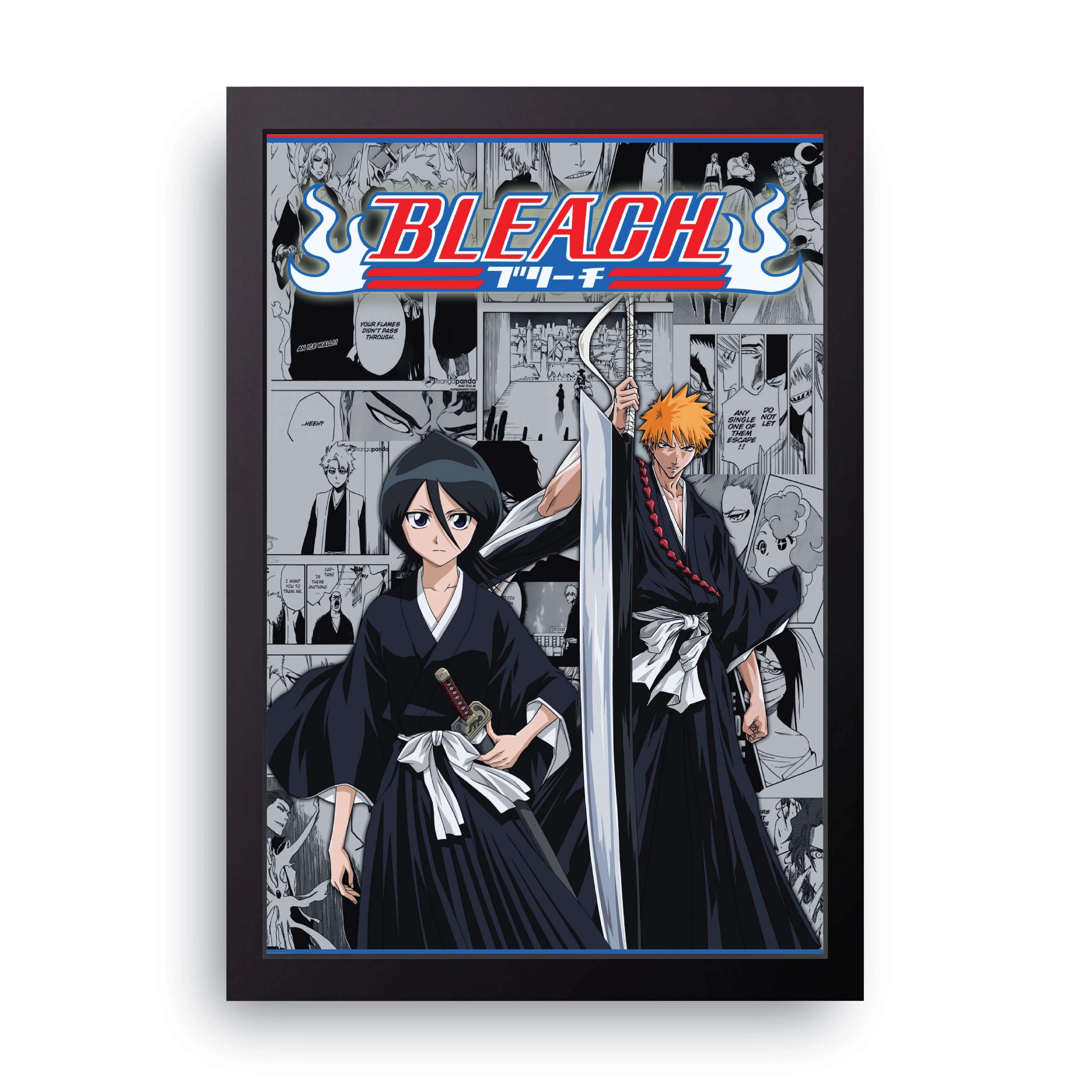 BLEACH 5 FRAME
