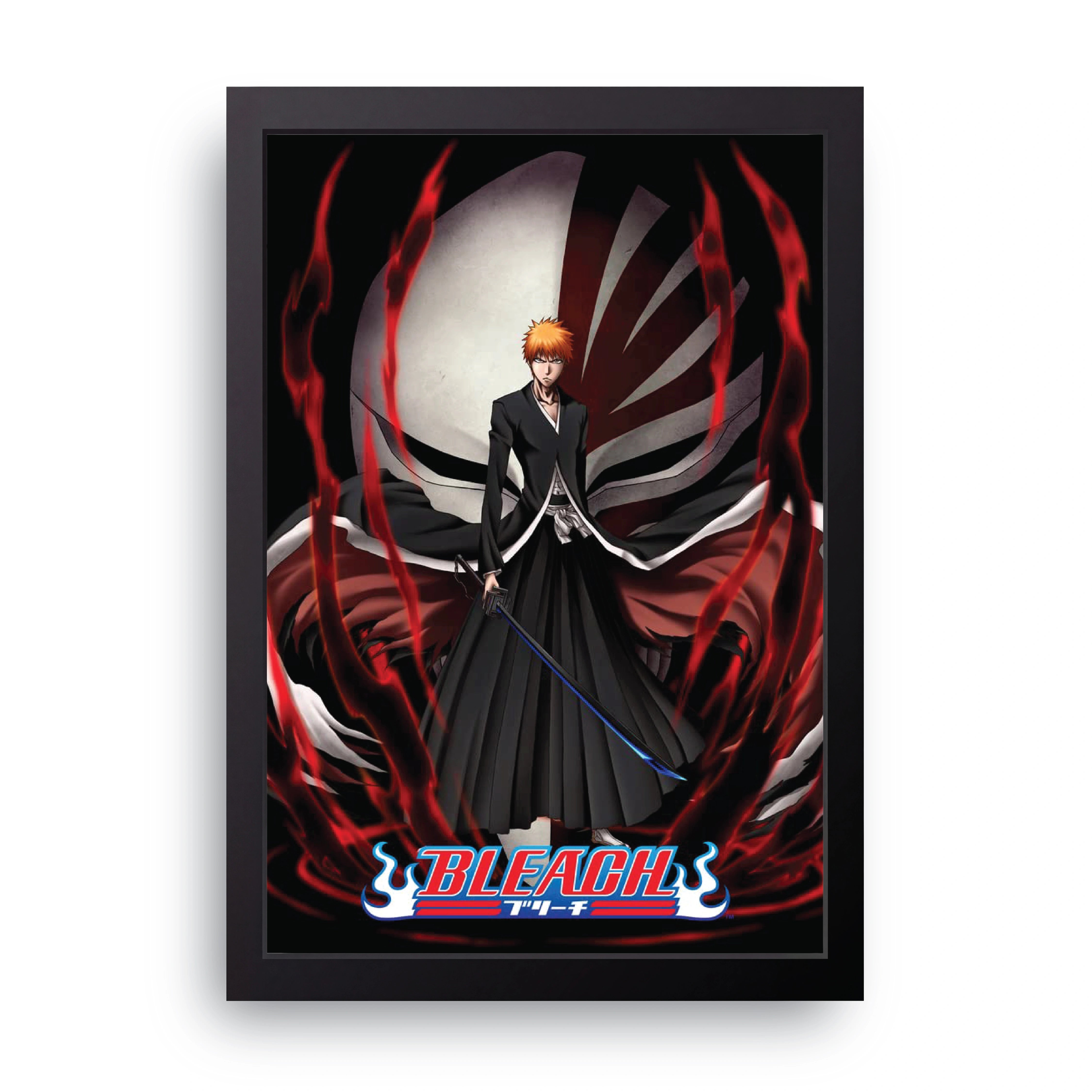 BLEACH 10 FRAME