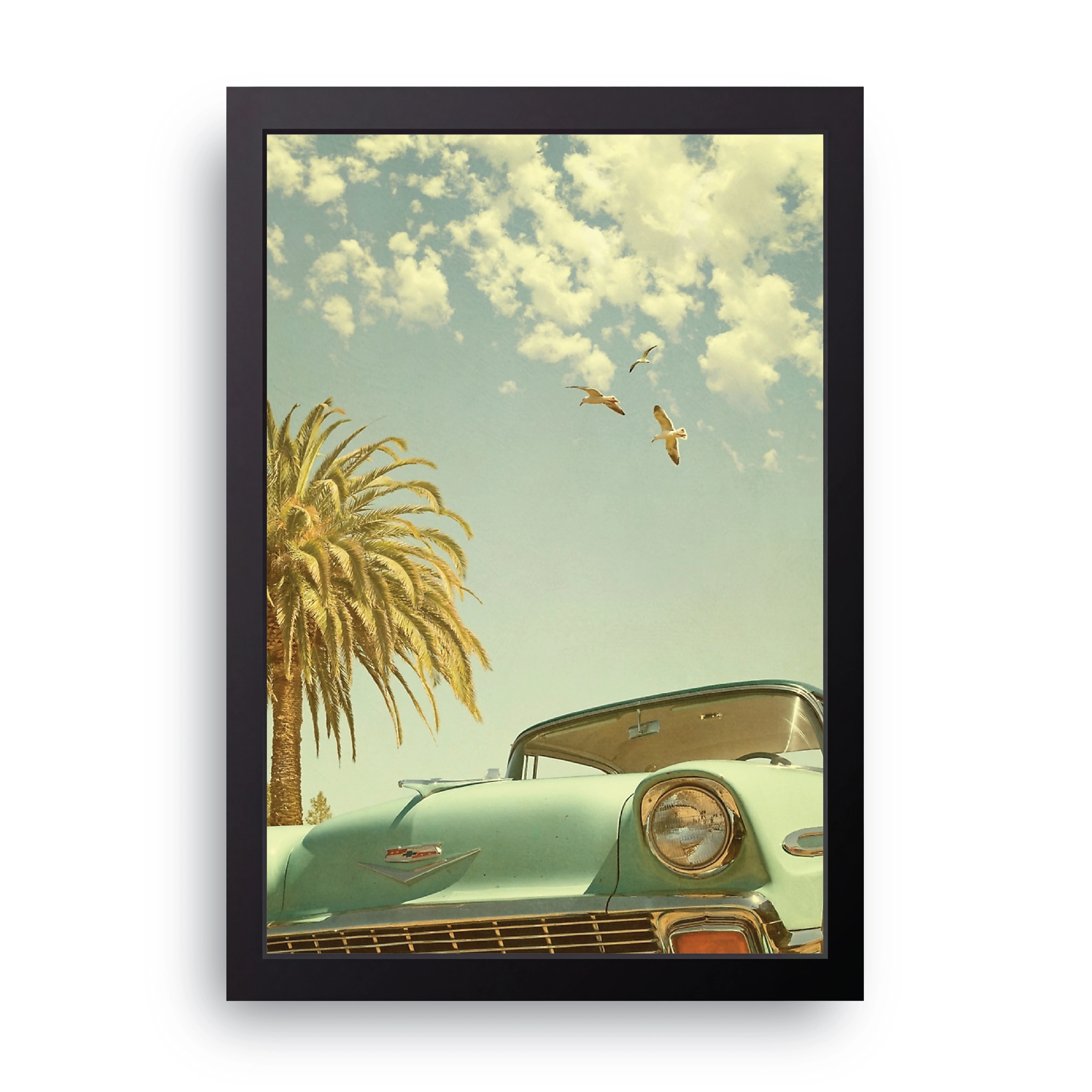 Palm Tree Cruiser FRAME