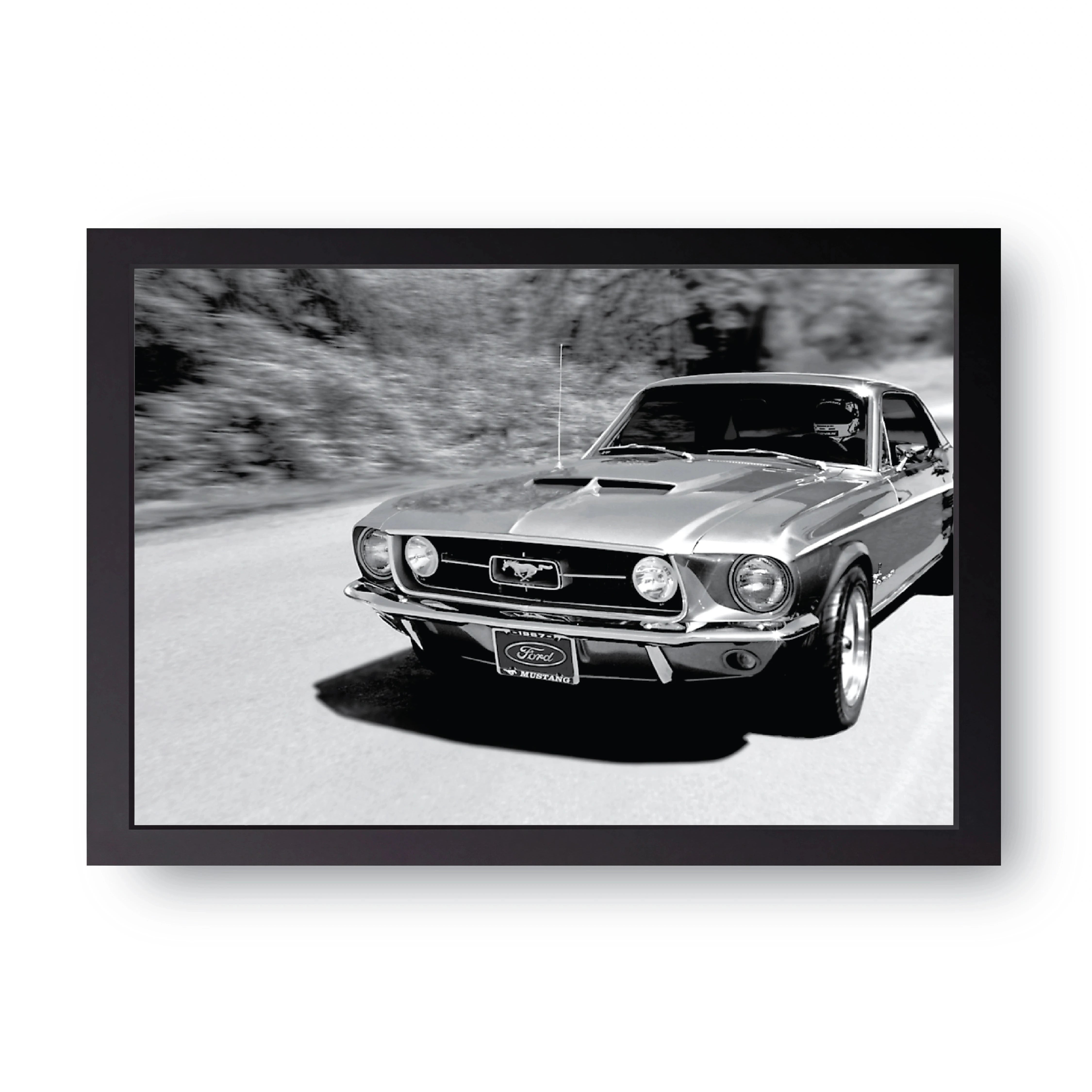 Classic Coupe FRAME