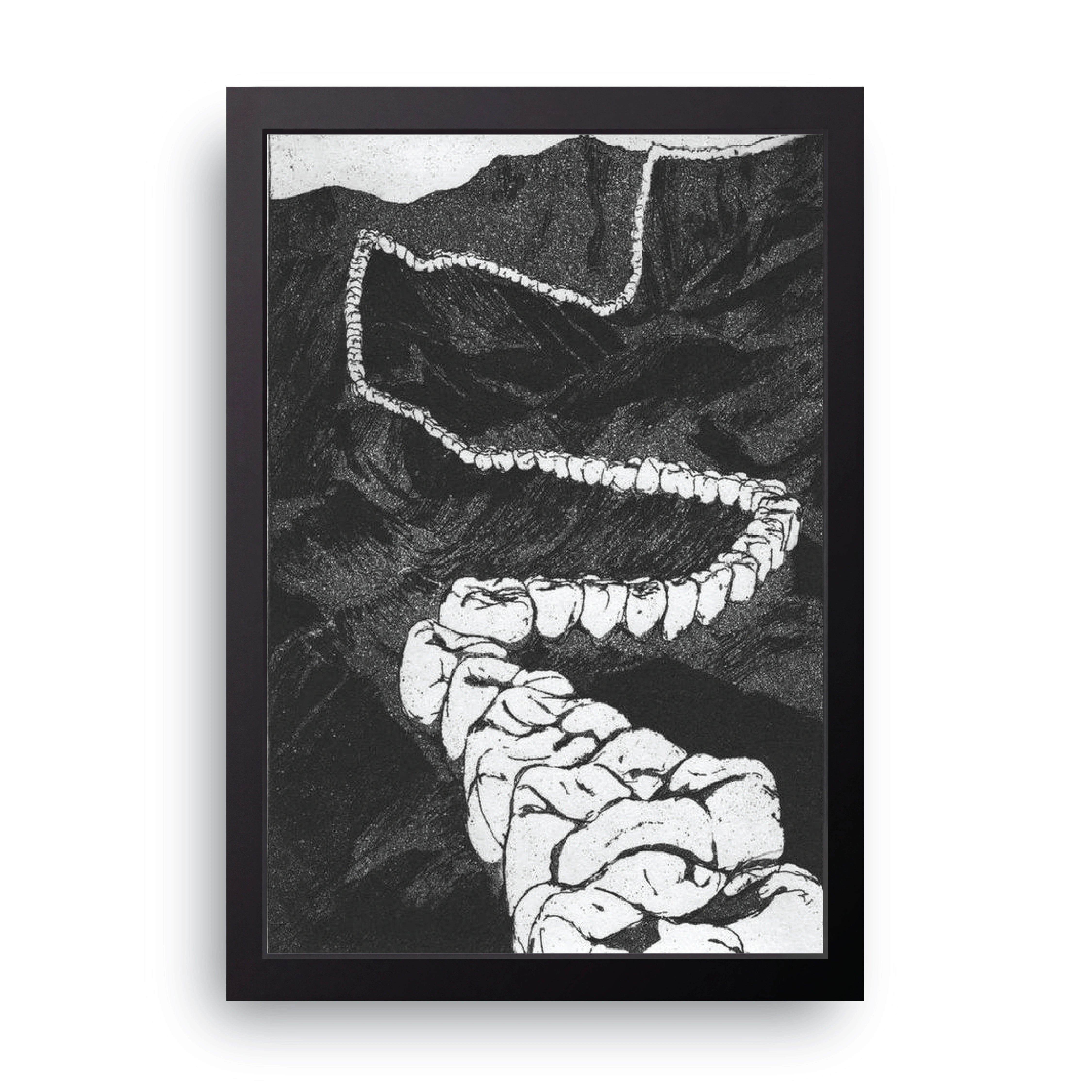Teeth Landscape FRAME