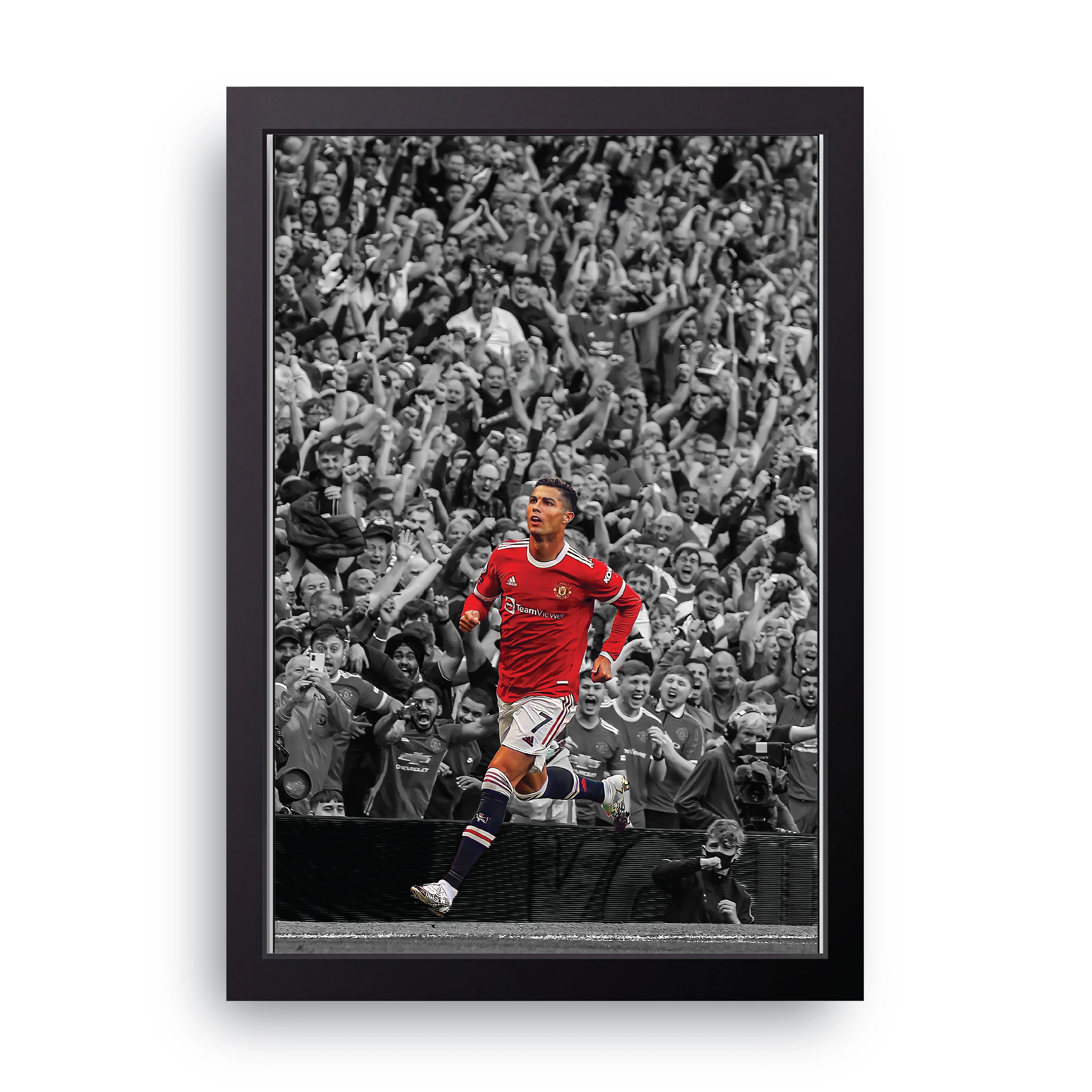 Stadium Celebration FRAME