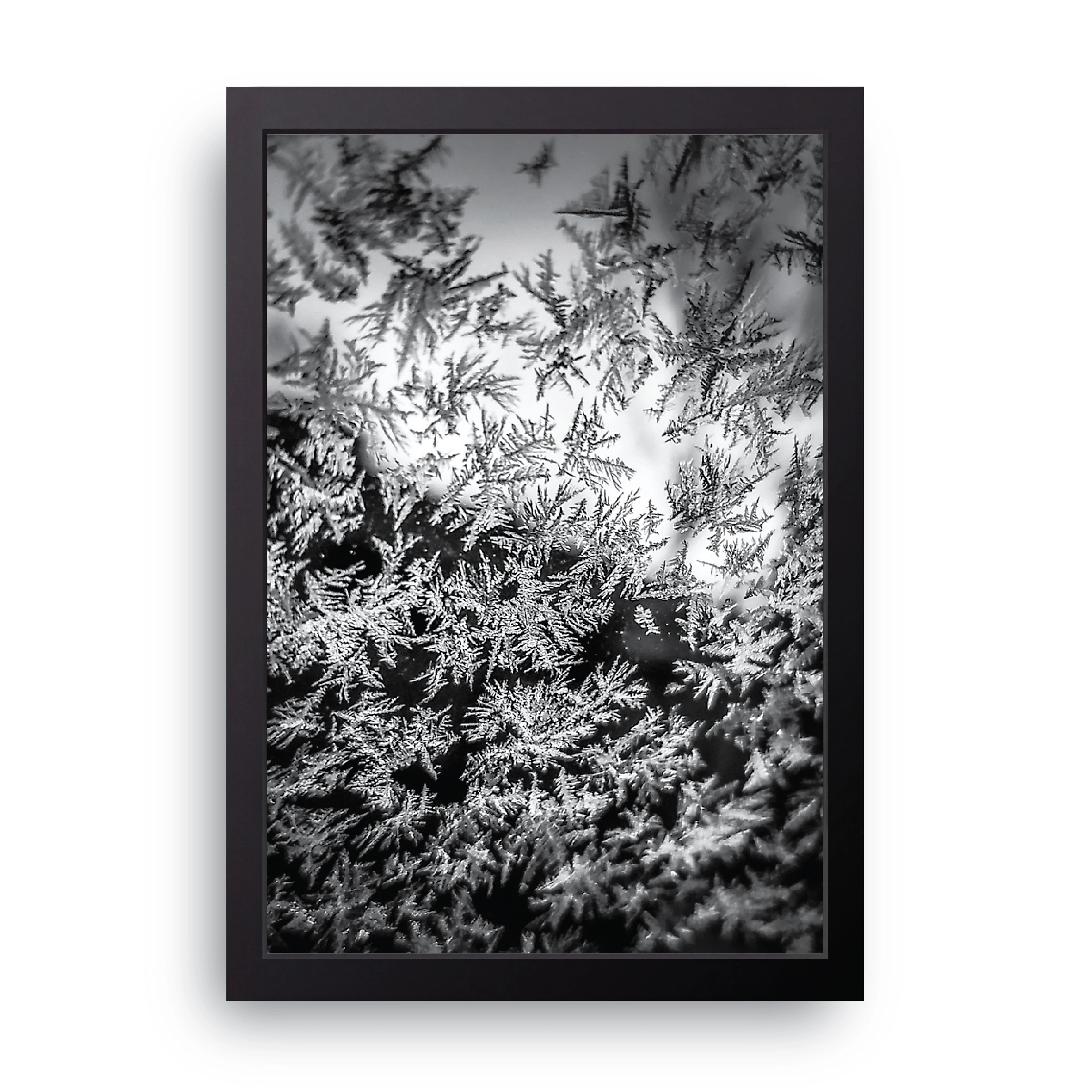Frost FRAME